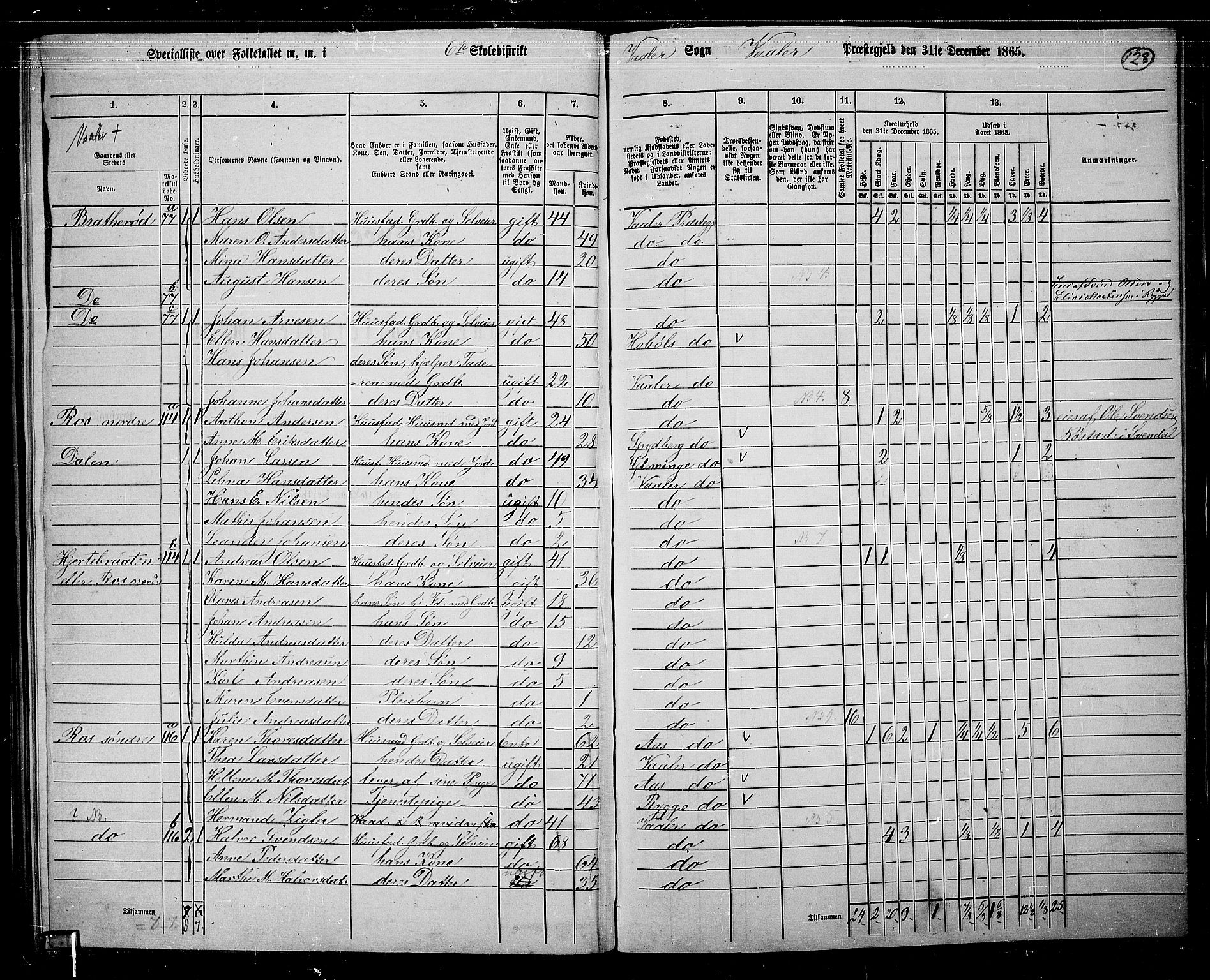 RA, 1865 census for Våler, 1865, p. 110