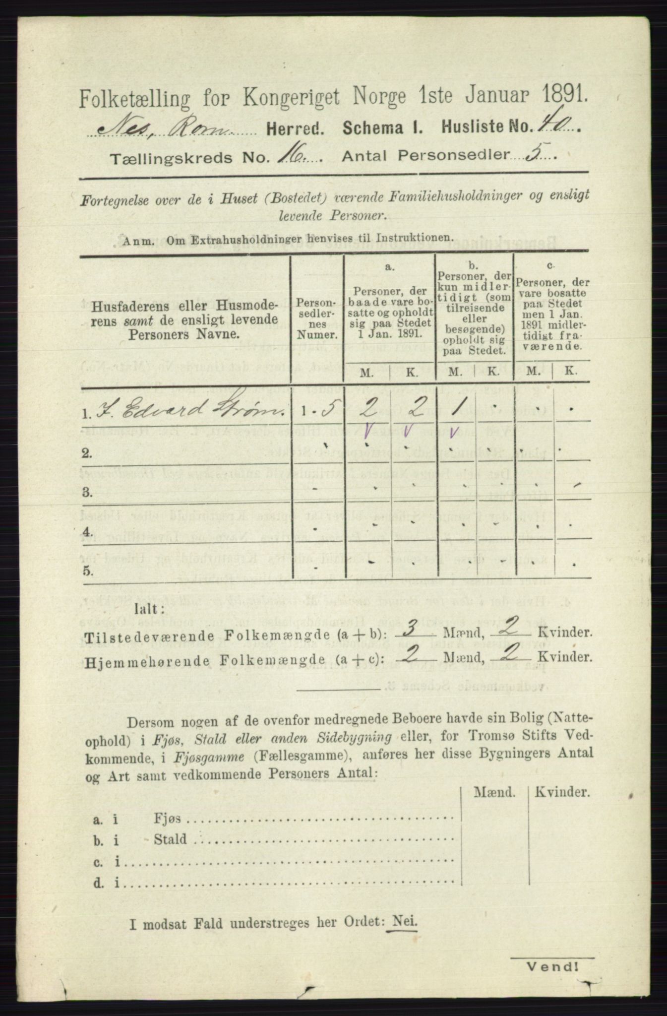 RA, 1891 census for 0236 Nes, 1891, p. 9538
