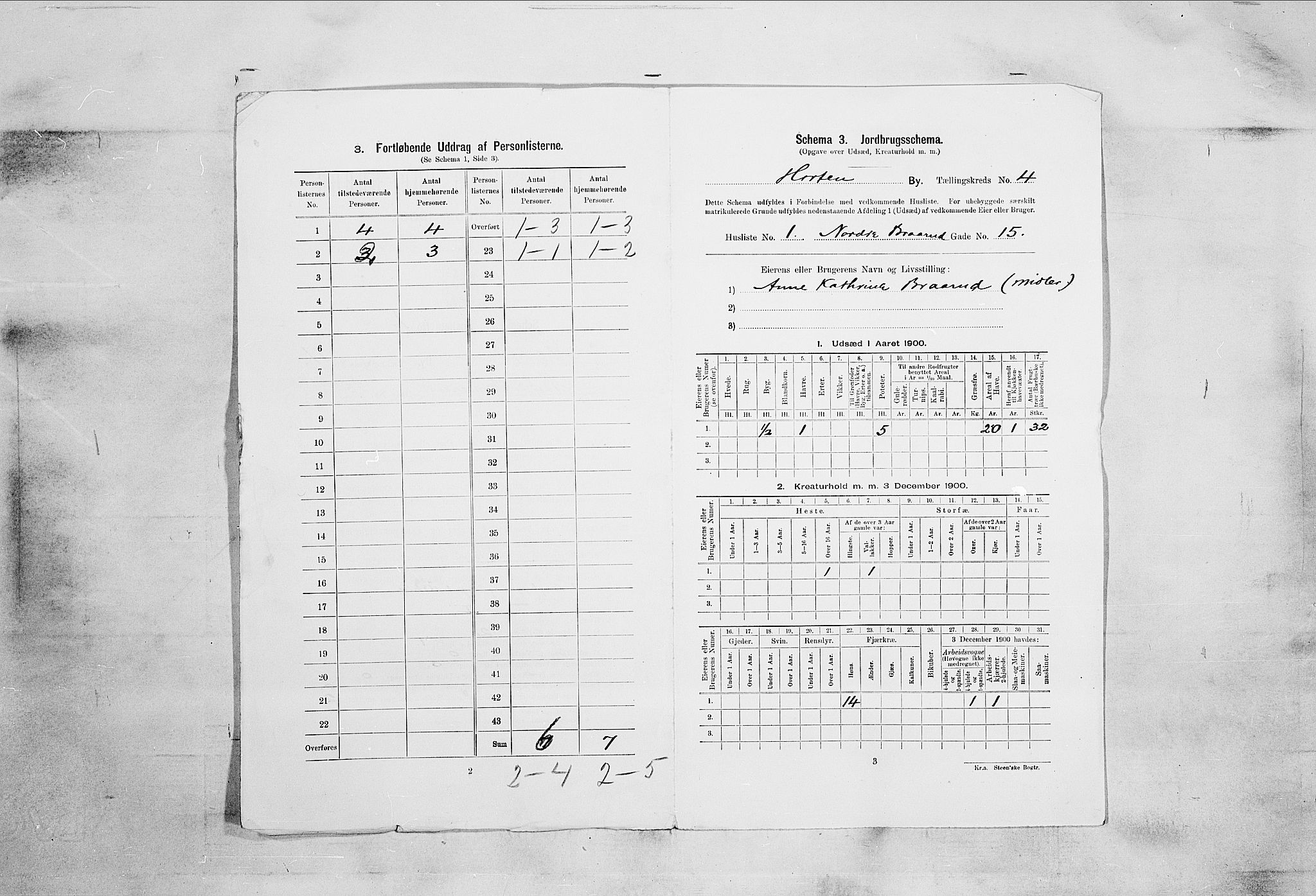 RA, 1900 census for Horten, 1900, p. 2548