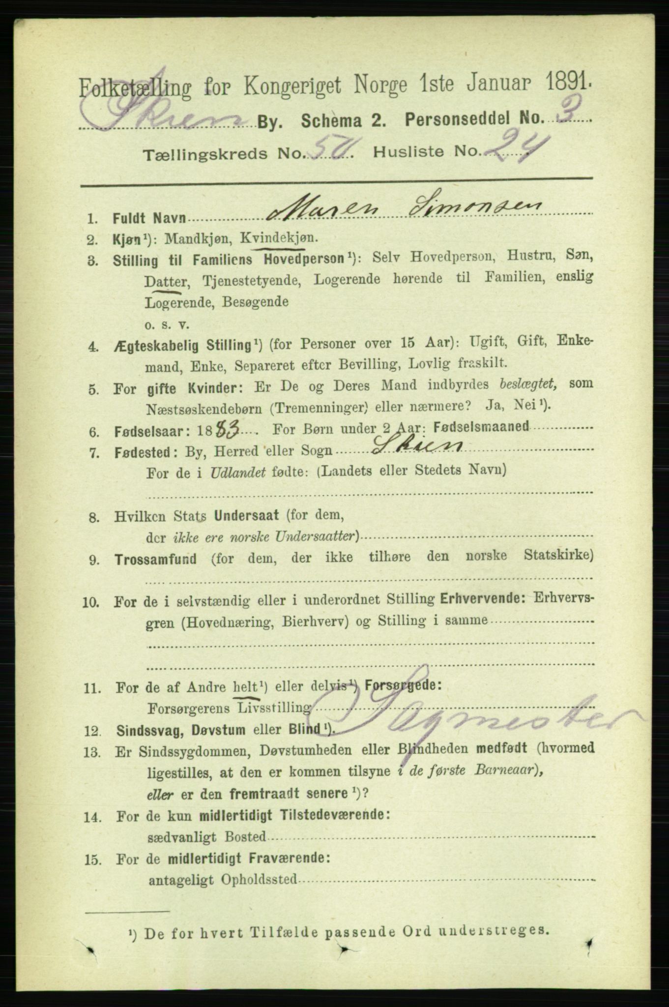 RA, 1891 census for 0806 Skien, 1891, p. 11000