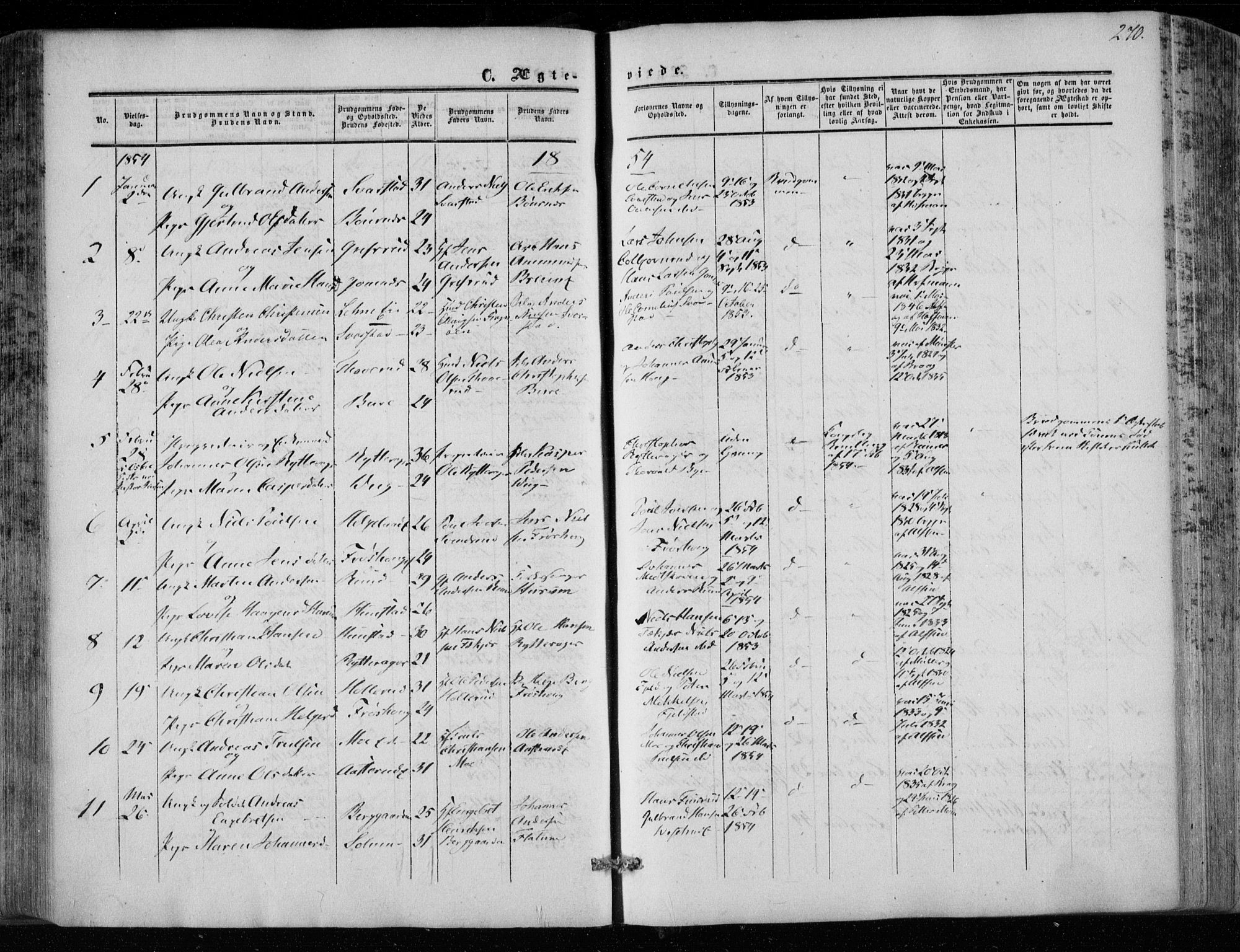 Hole kirkebøker, SAKO/A-228/F/Fa/L0006: Parish register (official) no. I 6, 1852-1872, p. 270