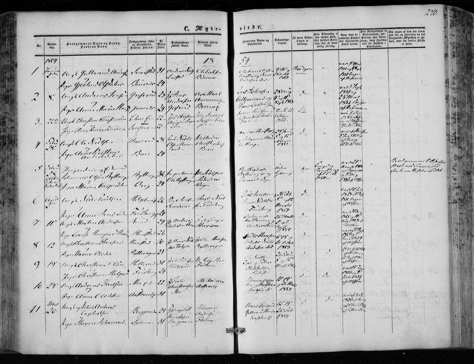 Hole kirkebøker, AV/SAKO-A-228/F/Fa/L0006: Parish register (official) no. I 6, 1852-1872, p. 270