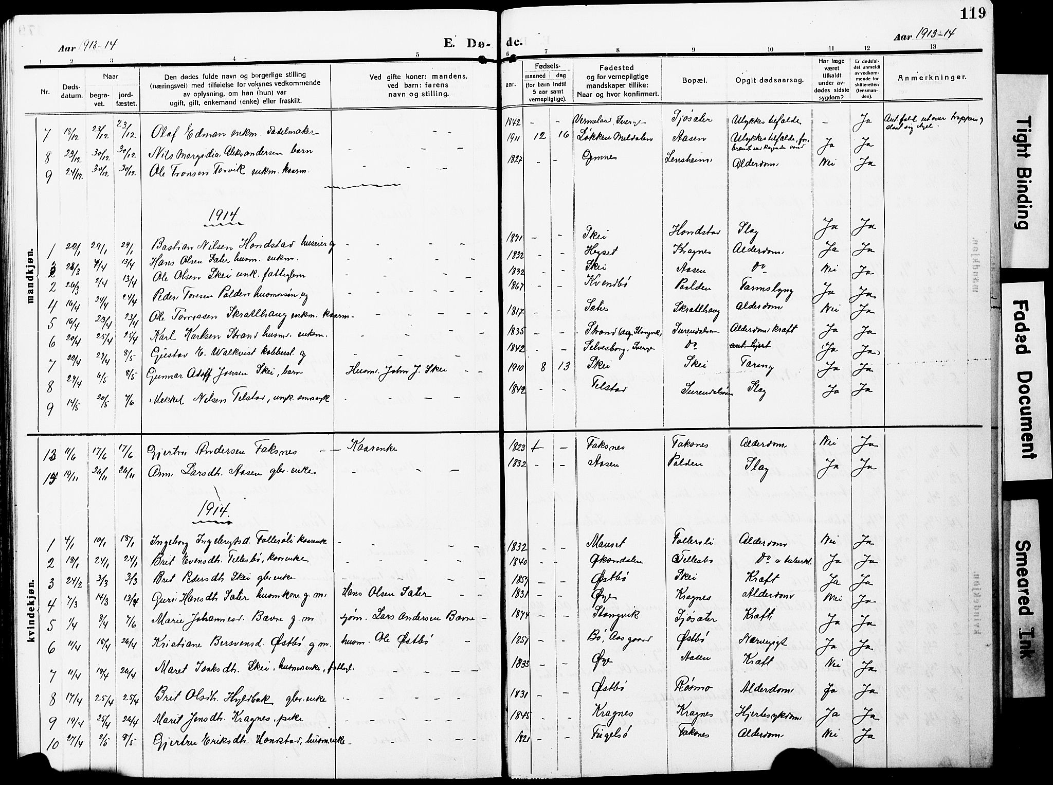 Ministerialprotokoller, klokkerbøker og fødselsregistre - Møre og Romsdal, AV/SAT-A-1454/596/L1059: Parish register (copy) no. 596C02, 1908-1922, p. 119