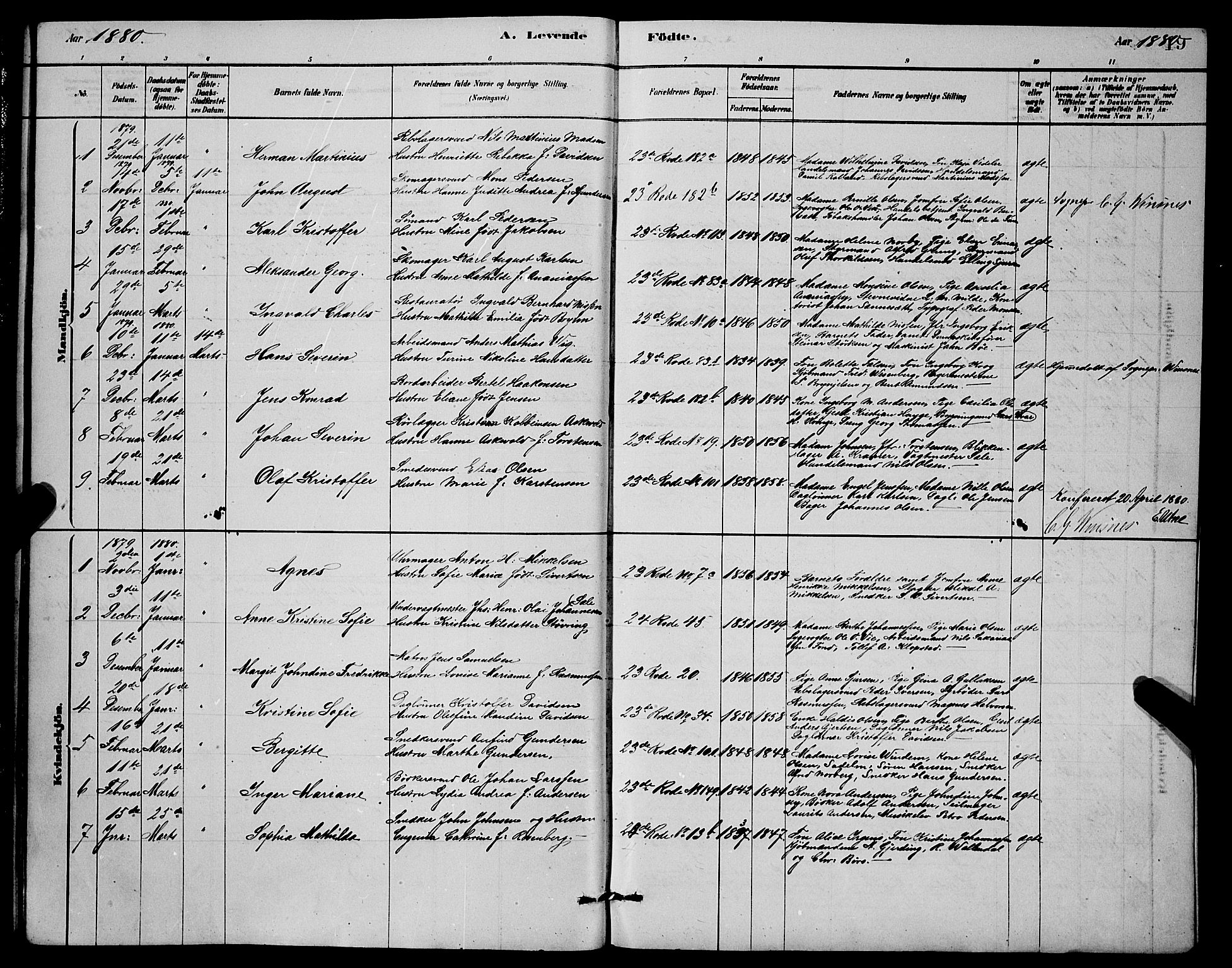 Mariakirken Sokneprestembete, SAB/A-76901/H/Hab/L0004: Parish register (copy) no. A 4, 1878-1892, p. 19