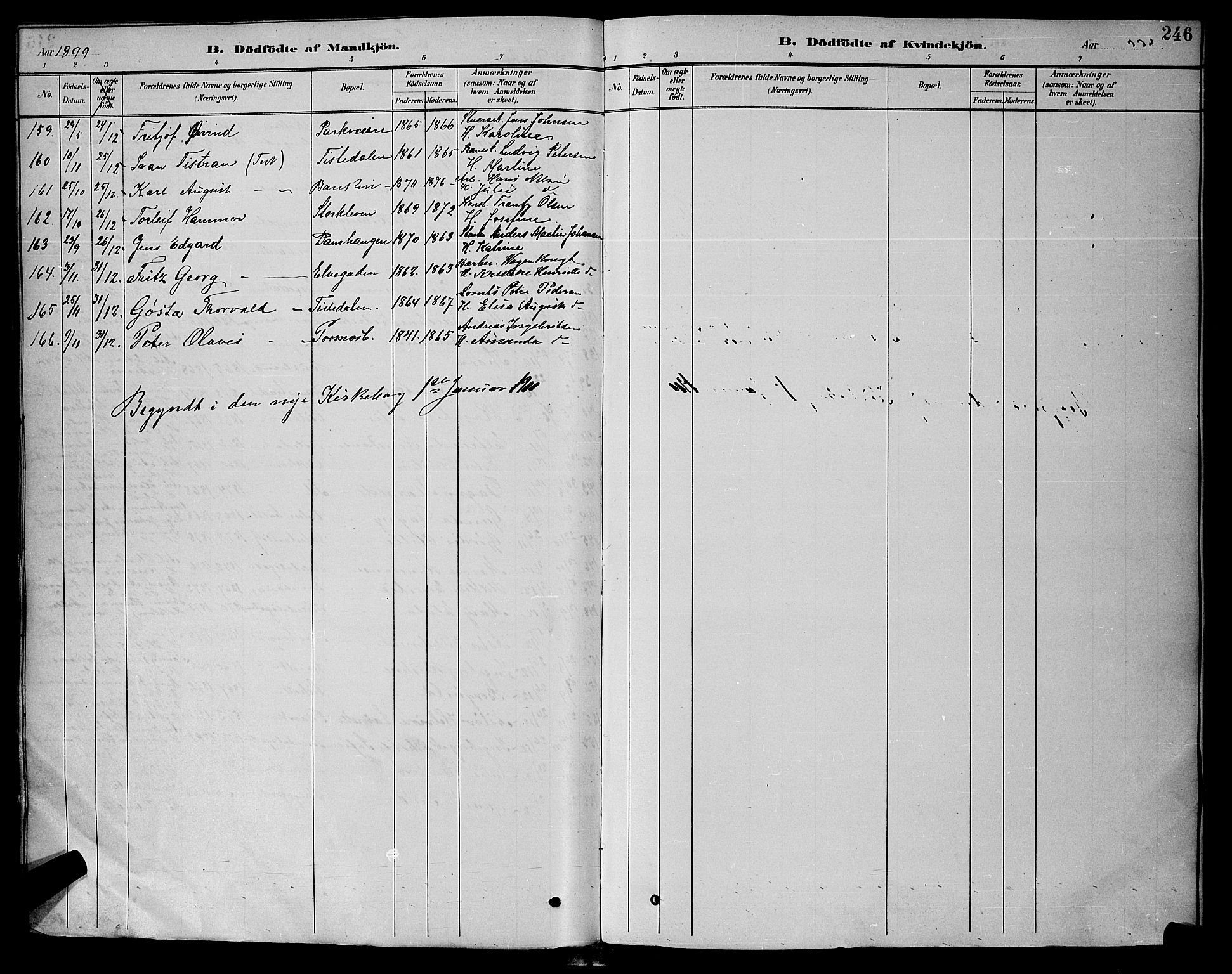 Halden prestekontor Kirkebøker, AV/SAO-A-10909/G/Ga/L0008: Parish register (copy) no. 8, 1885-1899, p. 246