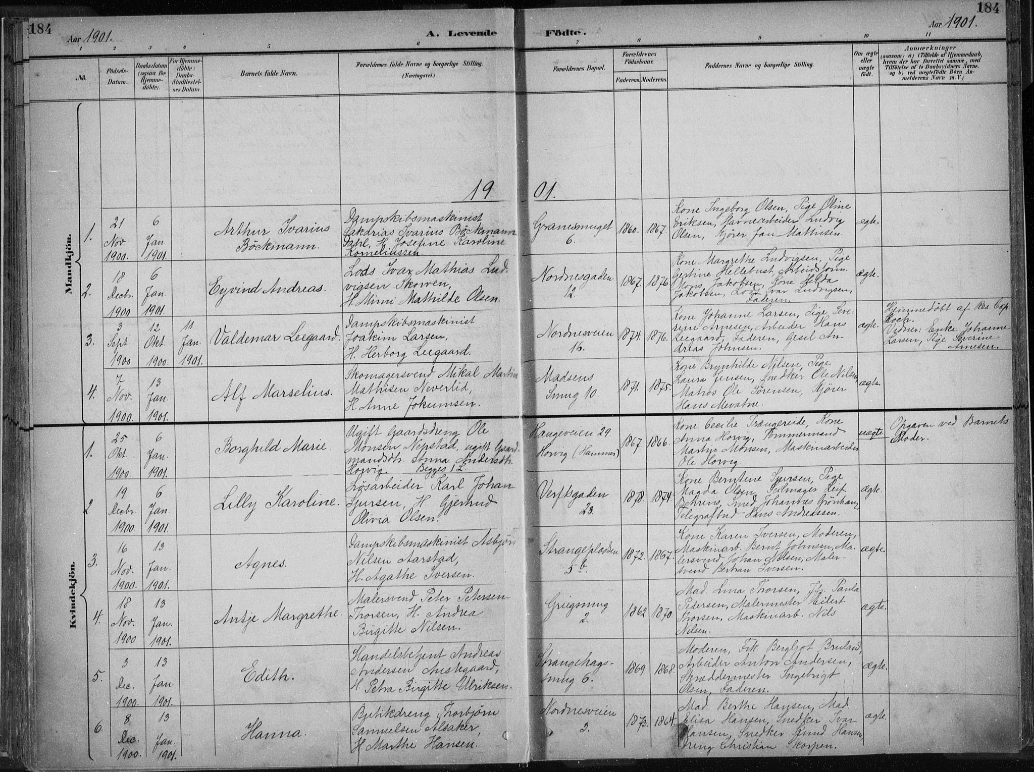 Nykirken Sokneprestembete, AV/SAB-A-77101/H/Haa/L0018: Parish register (official) no. B 6, 1895-1903, p. 184