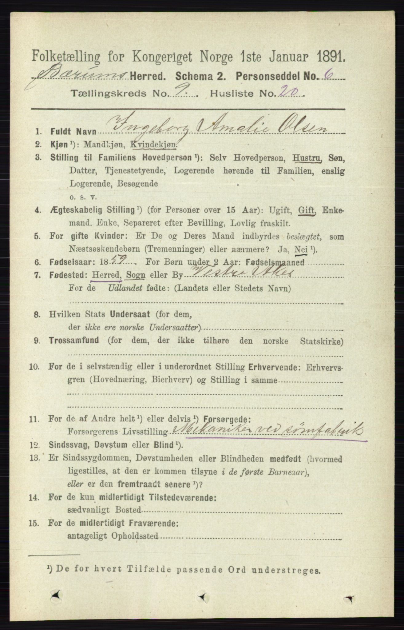 RA, 1891 census for 0219 Bærum, 1891, p. 5294