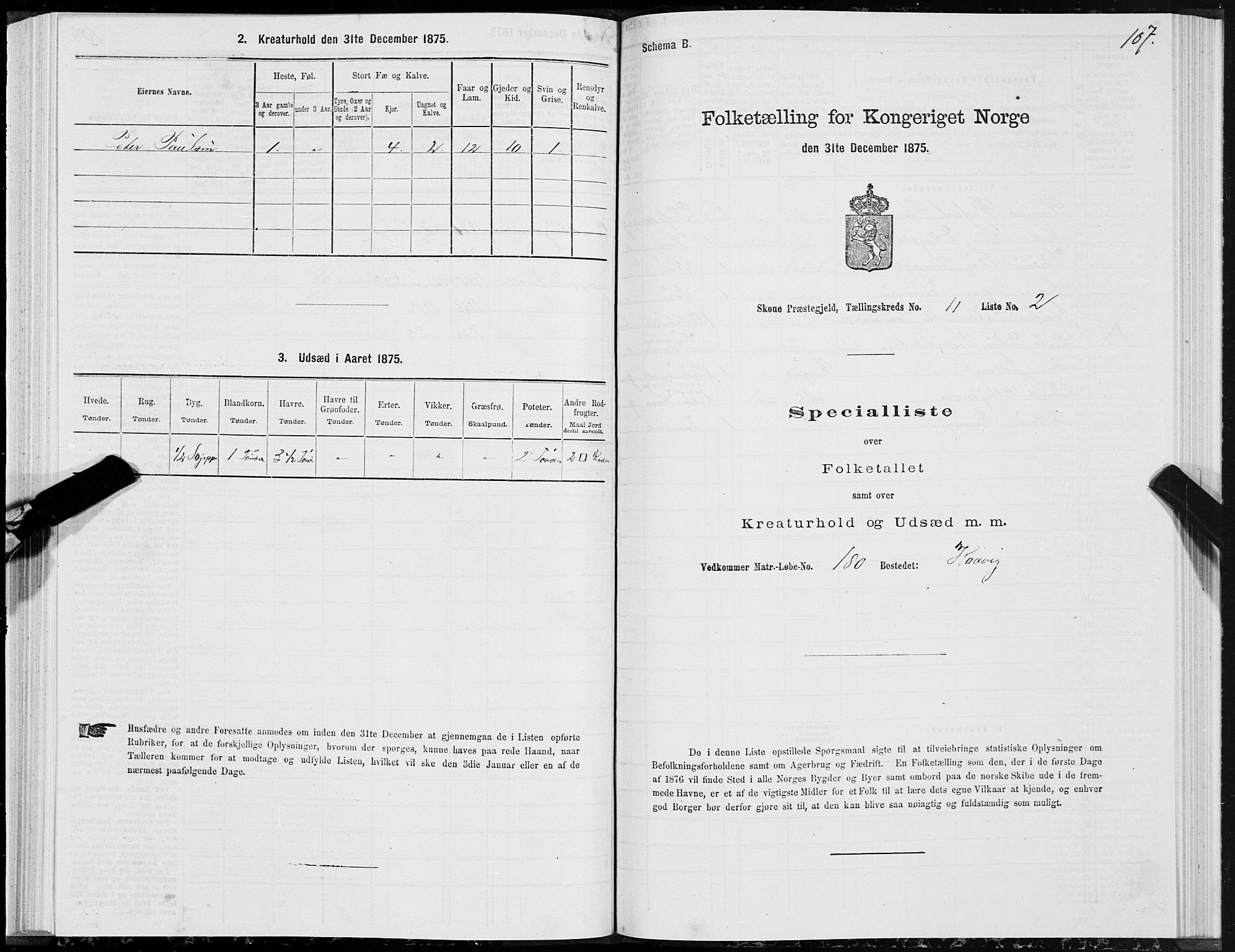 SAT, 1875 census for 1529P Skodje, 1875, p. 3107