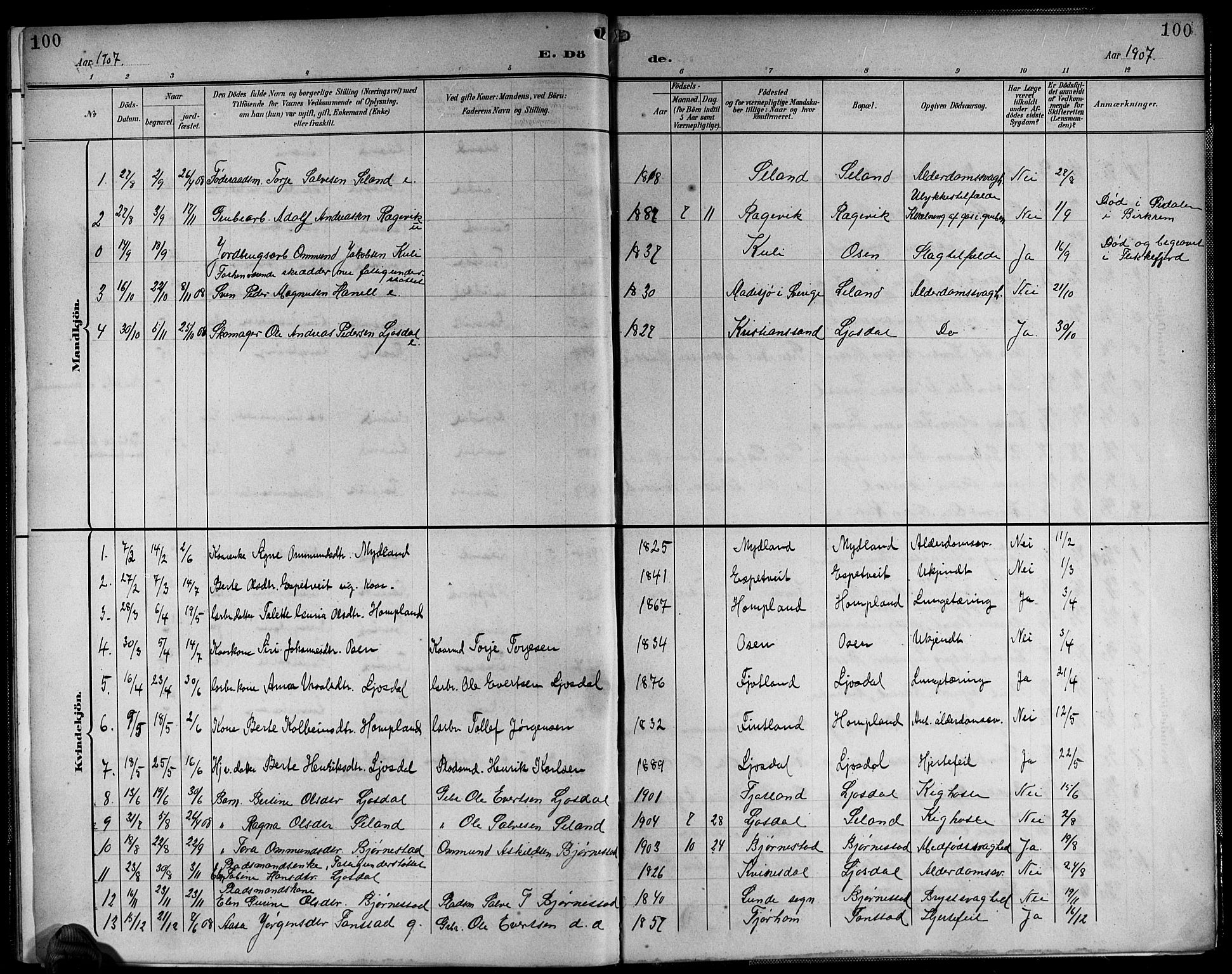 Sirdal sokneprestkontor, SAK/1111-0036/F/Fb/Fbb/L0004: Parish register (copy) no. B 4, 1895-1916, p. 100
