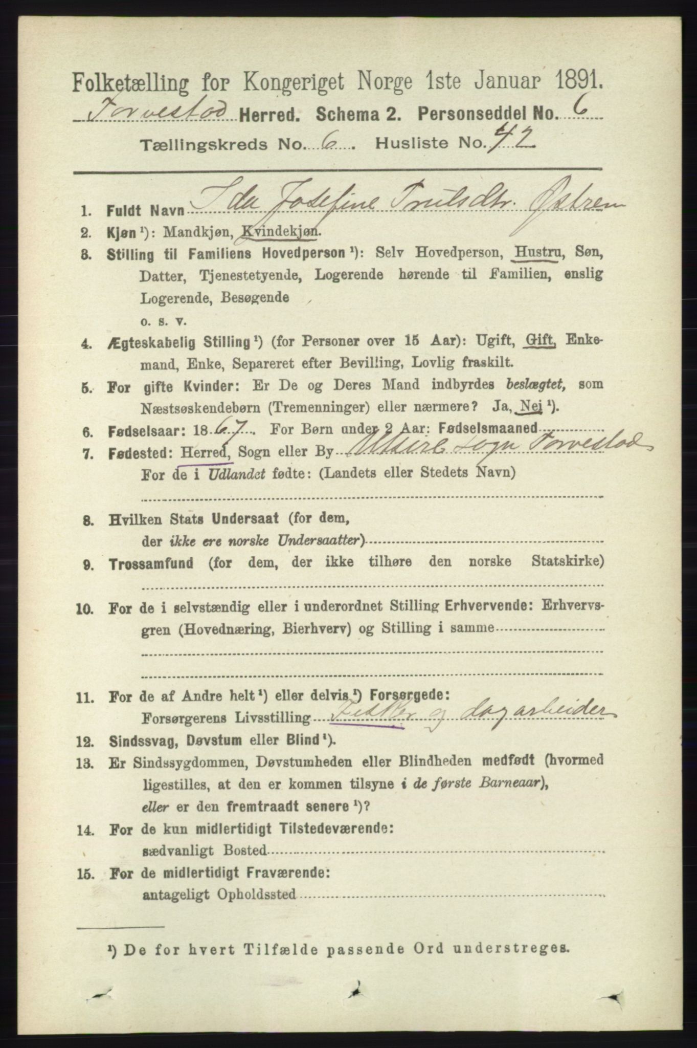 RA, 1891 census for 1152 Torvastad, 1891, p. 2193