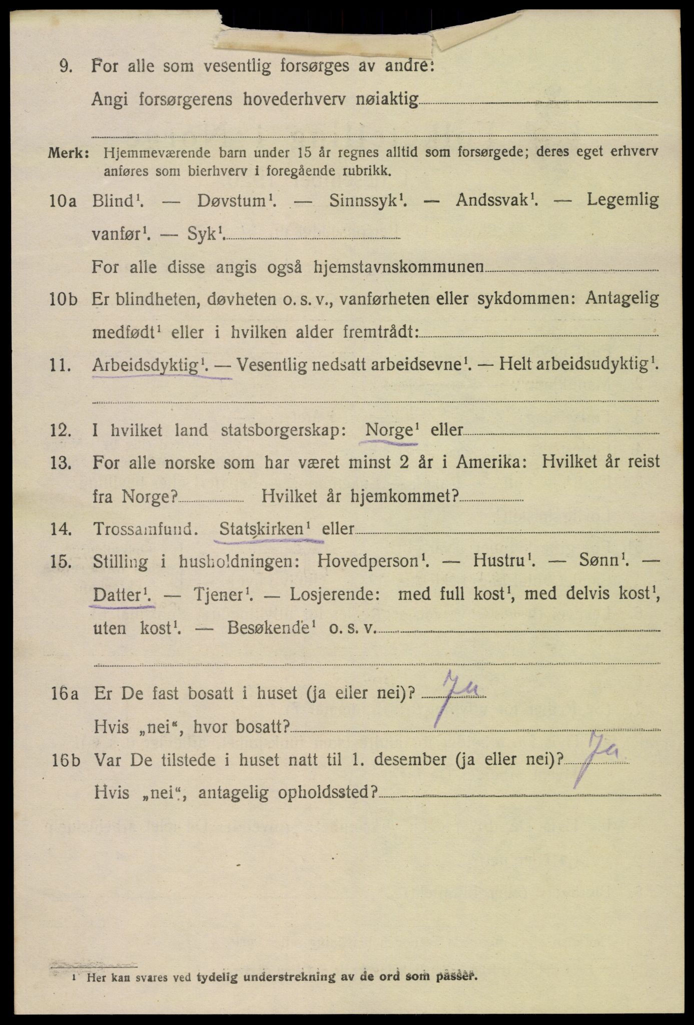 SAK, 1920 census for Hornnes, 1920, p. 810