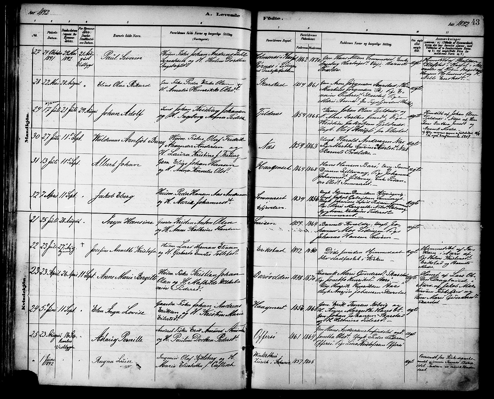 Ministerialprotokoller, klokkerbøker og fødselsregistre - Nordland, AV/SAT-A-1459/872/L1035: Parish register (official) no. 872A10, 1884-1896, p. 43