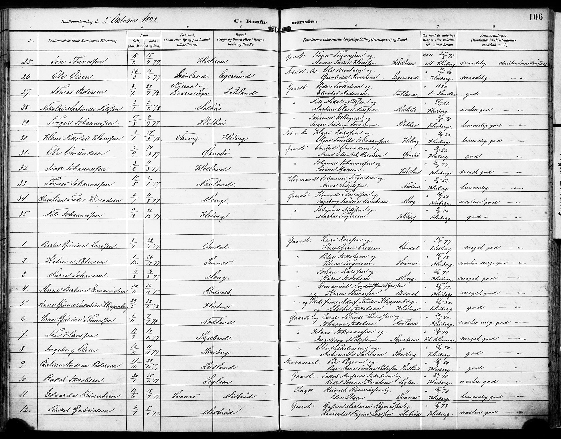 Eigersund sokneprestkontor, SAST/A-101807/S08/L0018: Parish register (official) no. A 17, 1892-1905, p. 106