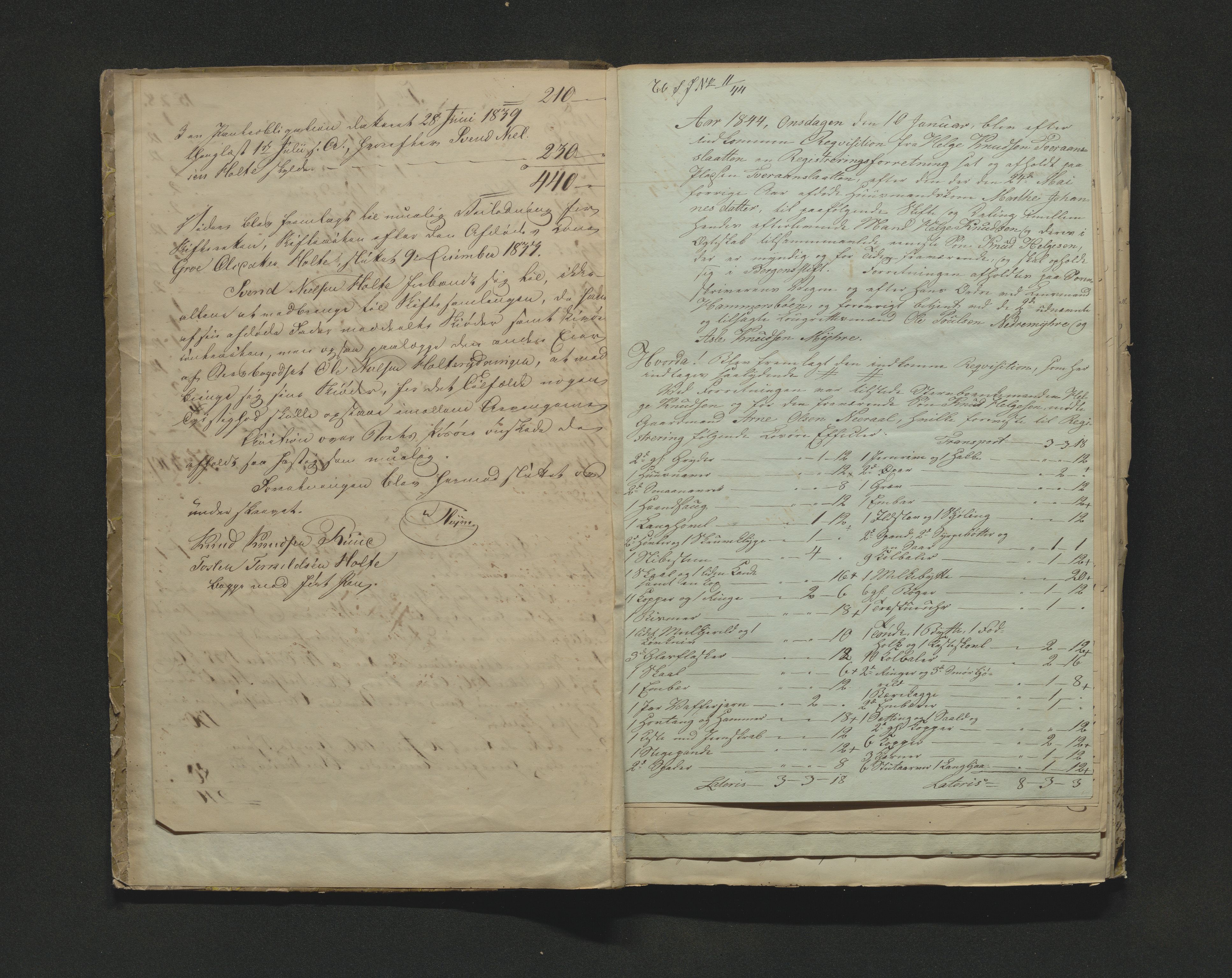Hallingdal sorenskriveri, SAKO/A-121/H/Hb/Hbb/Hbba/L0017: Skifteregistreringsprotokoll, Sorenskriveriet, 1844