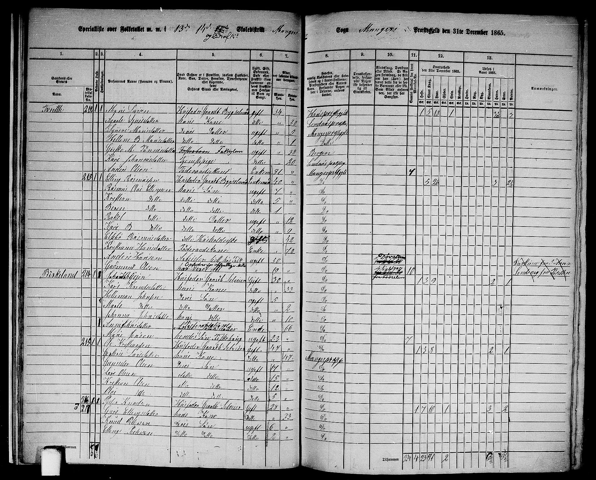 RA, 1865 census for Manger, 1865, p. 25