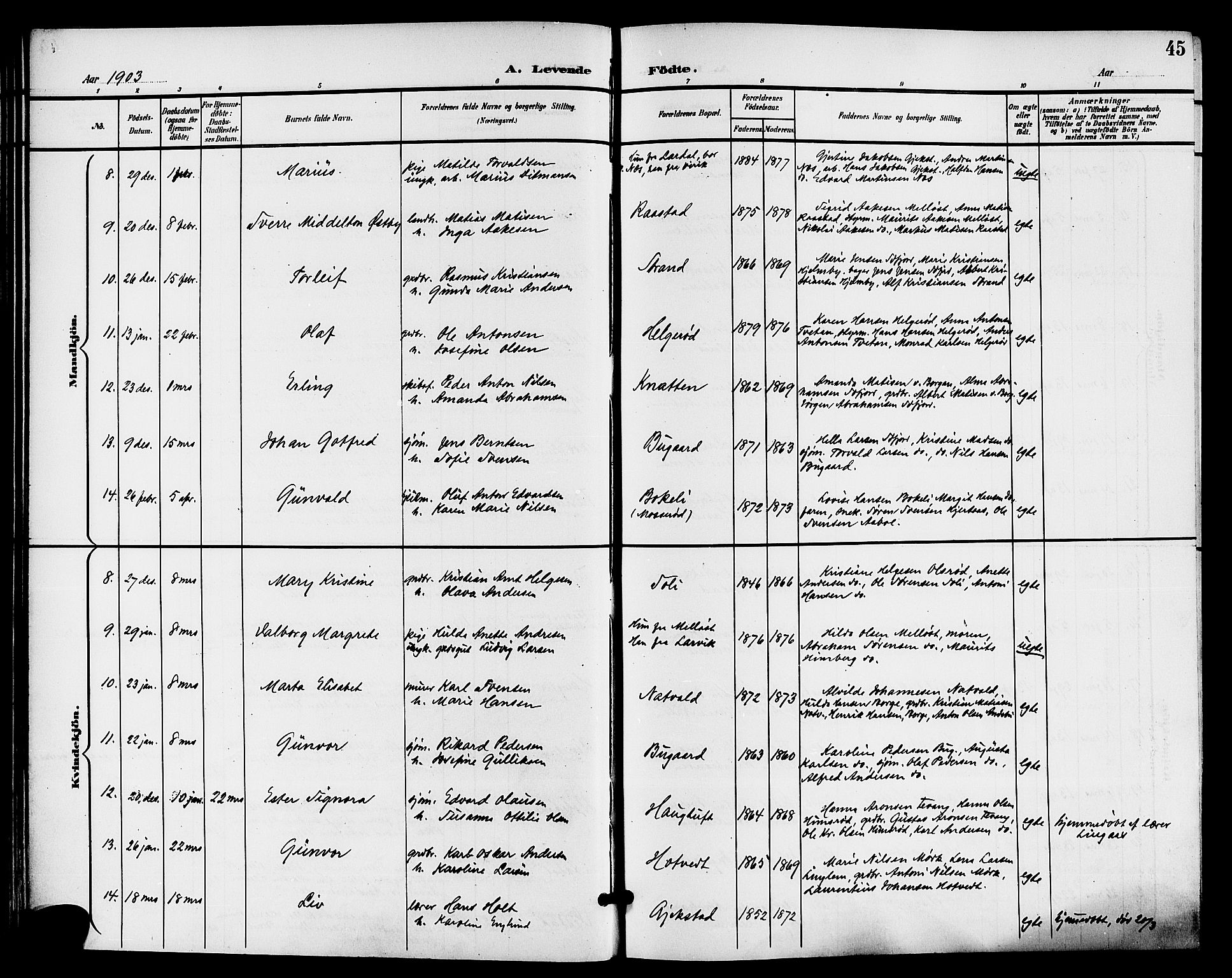 Sandar kirkebøker, AV/SAKO-A-243/G/Ga/L0002: Parish register (copy) no. 2, 1900-1915, p. 45