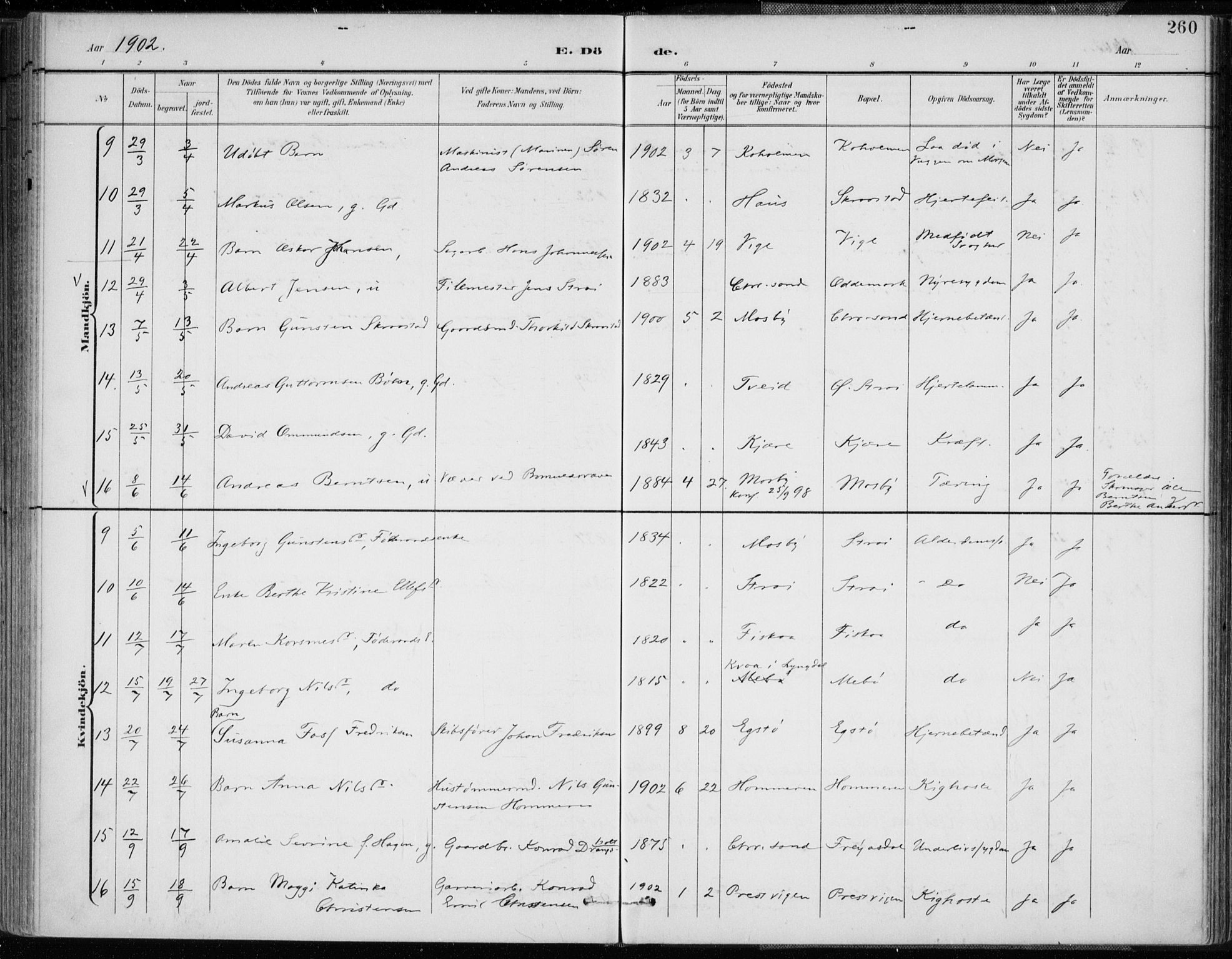 Oddernes sokneprestkontor, SAK/1111-0033/F/Fa/Faa/L0010: Parish register (official) no. A 10, 1897-1911, p. 260