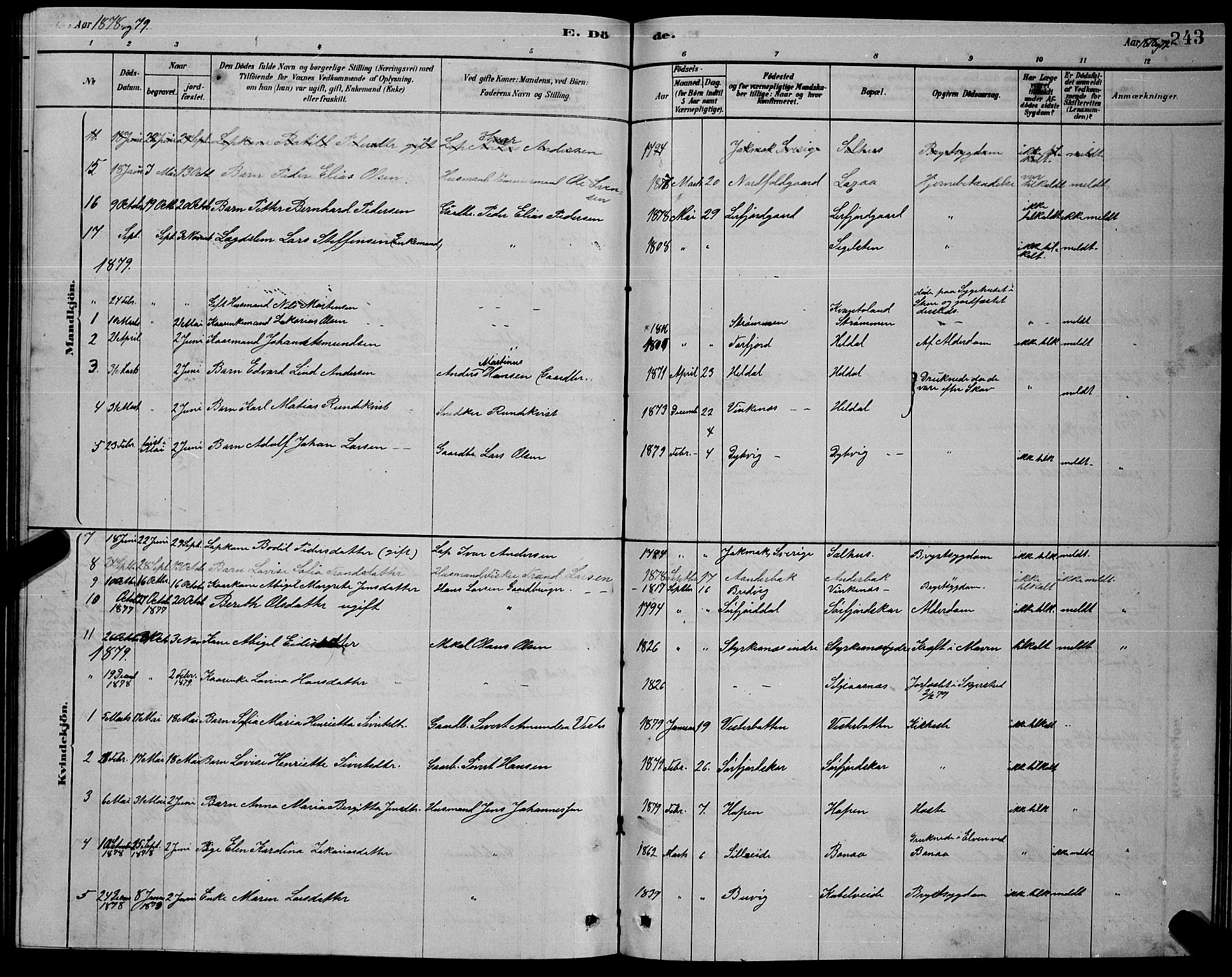 Ministerialprotokoller, klokkerbøker og fødselsregistre - Nordland, AV/SAT-A-1459/853/L0776: Parish register (copy) no. 853C04, 1878-1889, p. 243