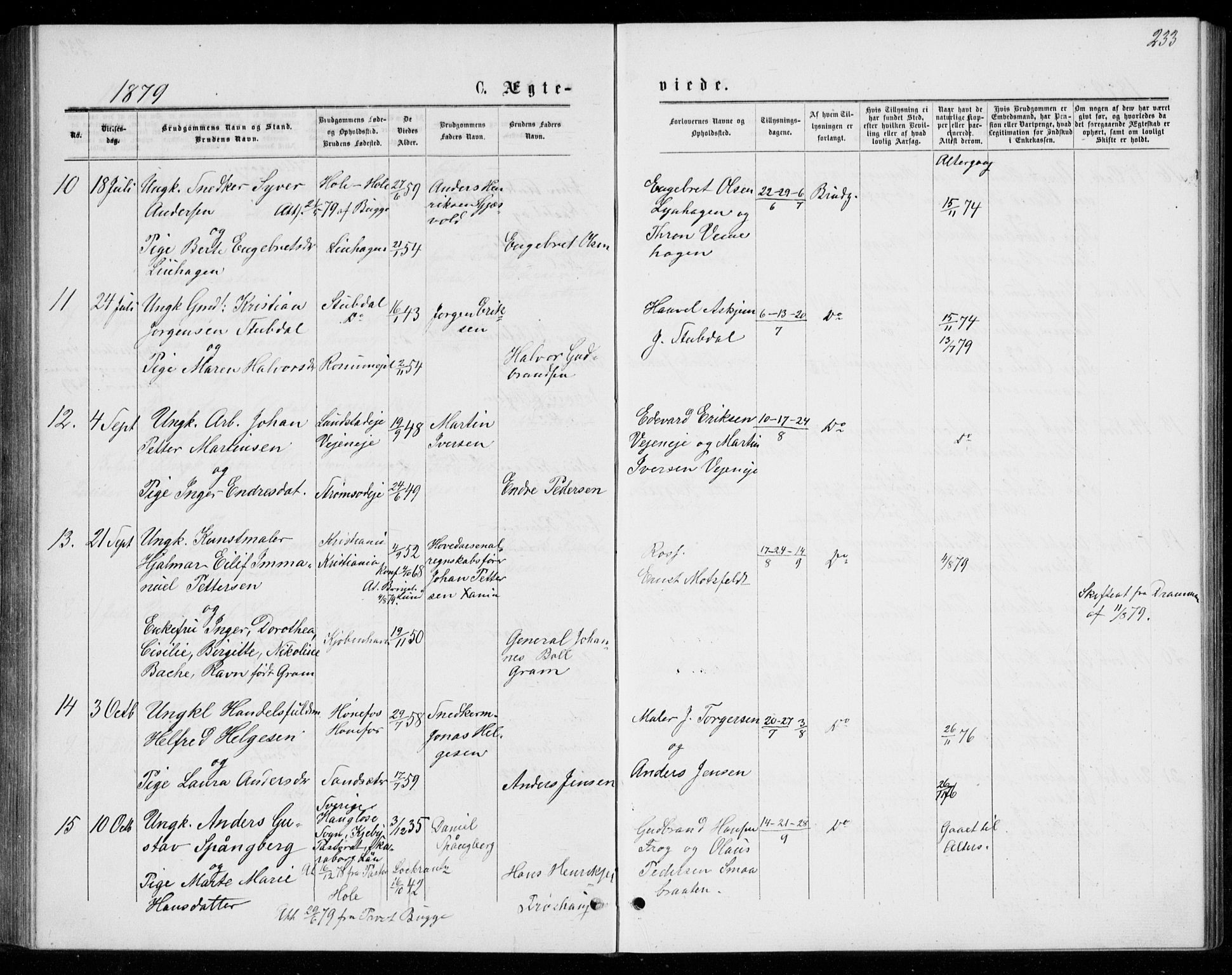 Norderhov kirkebøker, AV/SAKO-A-237/G/Ga/L0007: Parish register (copy) no. I 7, 1877-1887, p. 233