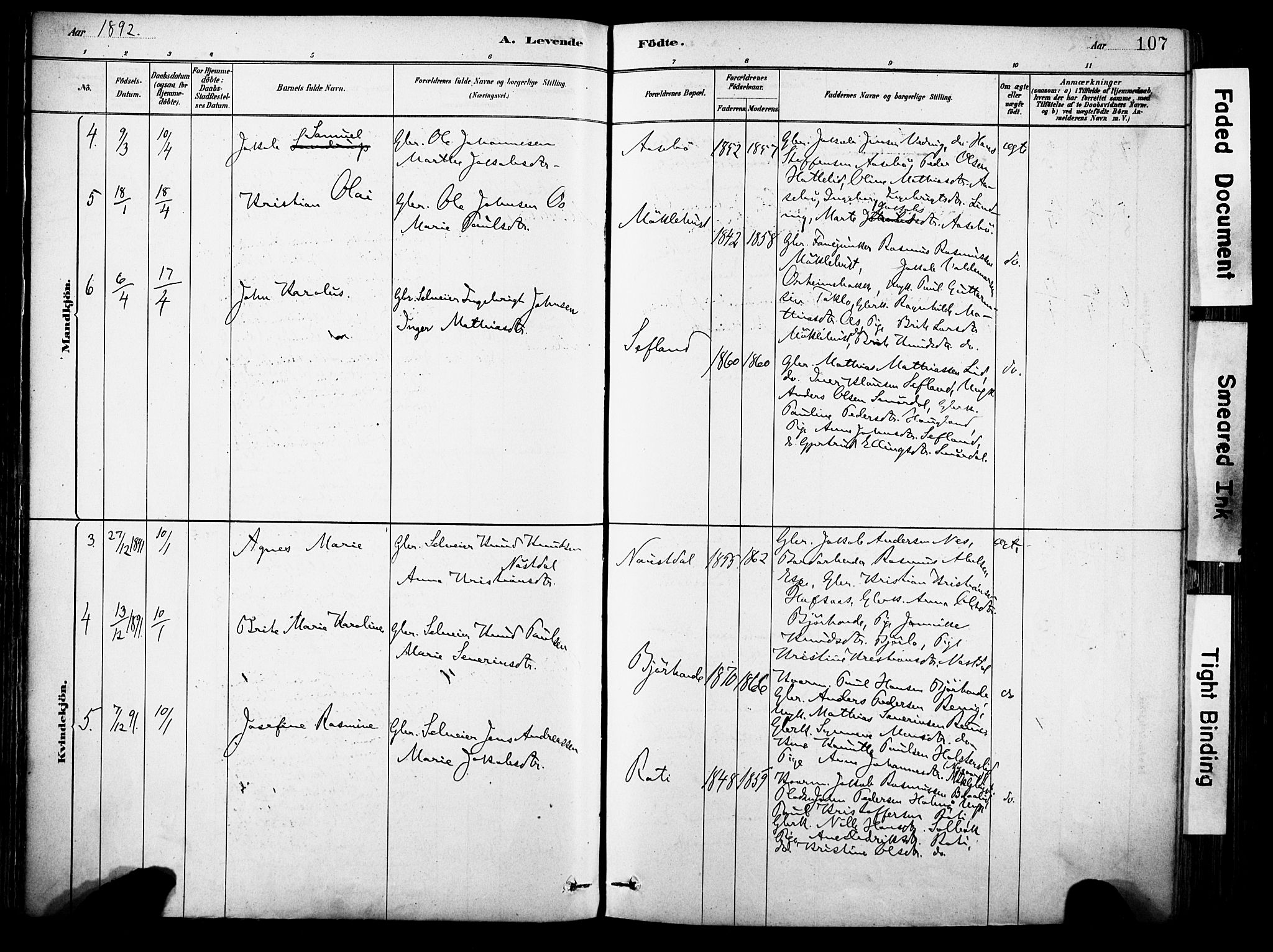 Eid sokneprestembete, AV/SAB-A-82301/H/Haa/Haab/L0001: Parish register (official) no. B 1, 1879-1906, p. 107