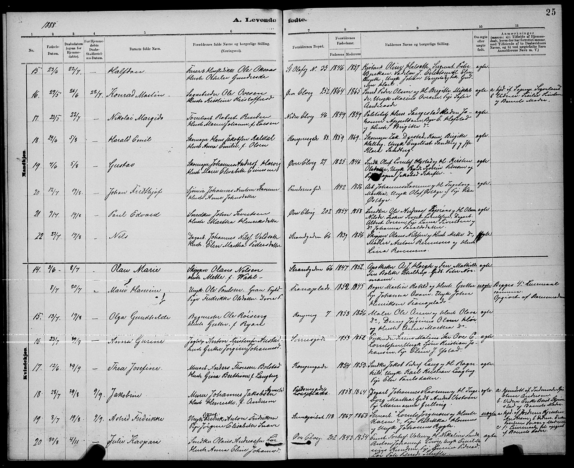 Ministerialprotokoller, klokkerbøker og fødselsregistre - Nord-Trøndelag, AV/SAT-A-1458/739/L0374: Parish register (copy) no. 739C02, 1883-1898, p. 25