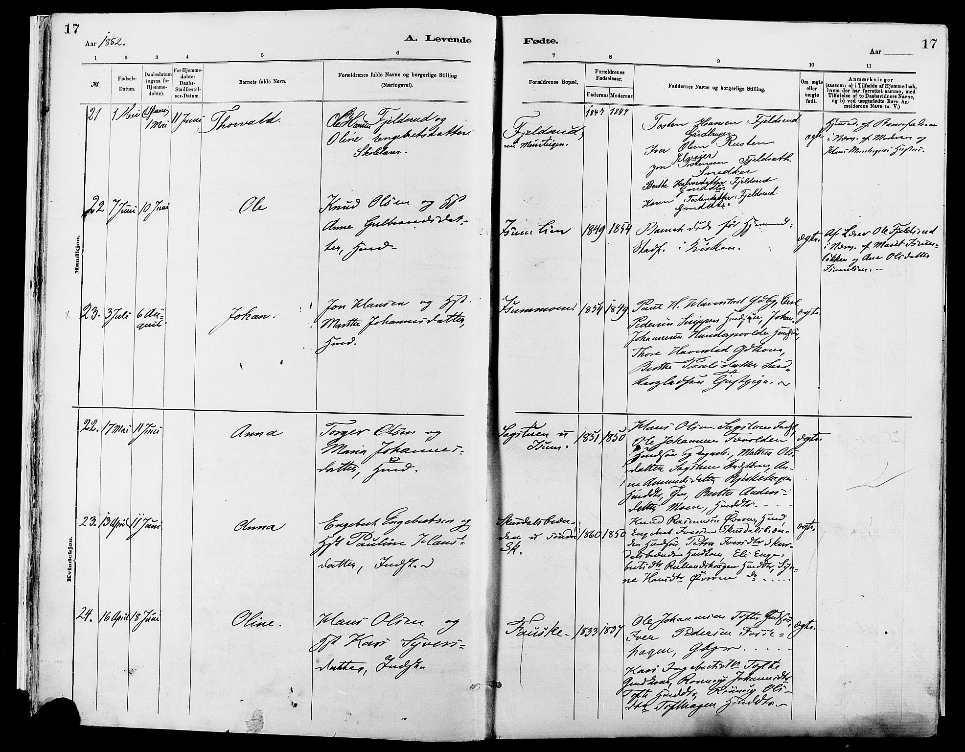 Sør-Fron prestekontor, AV/SAH-PREST-010/H/Ha/Haa/L0003: Parish register (official) no. 3, 1881-1897, p. 17