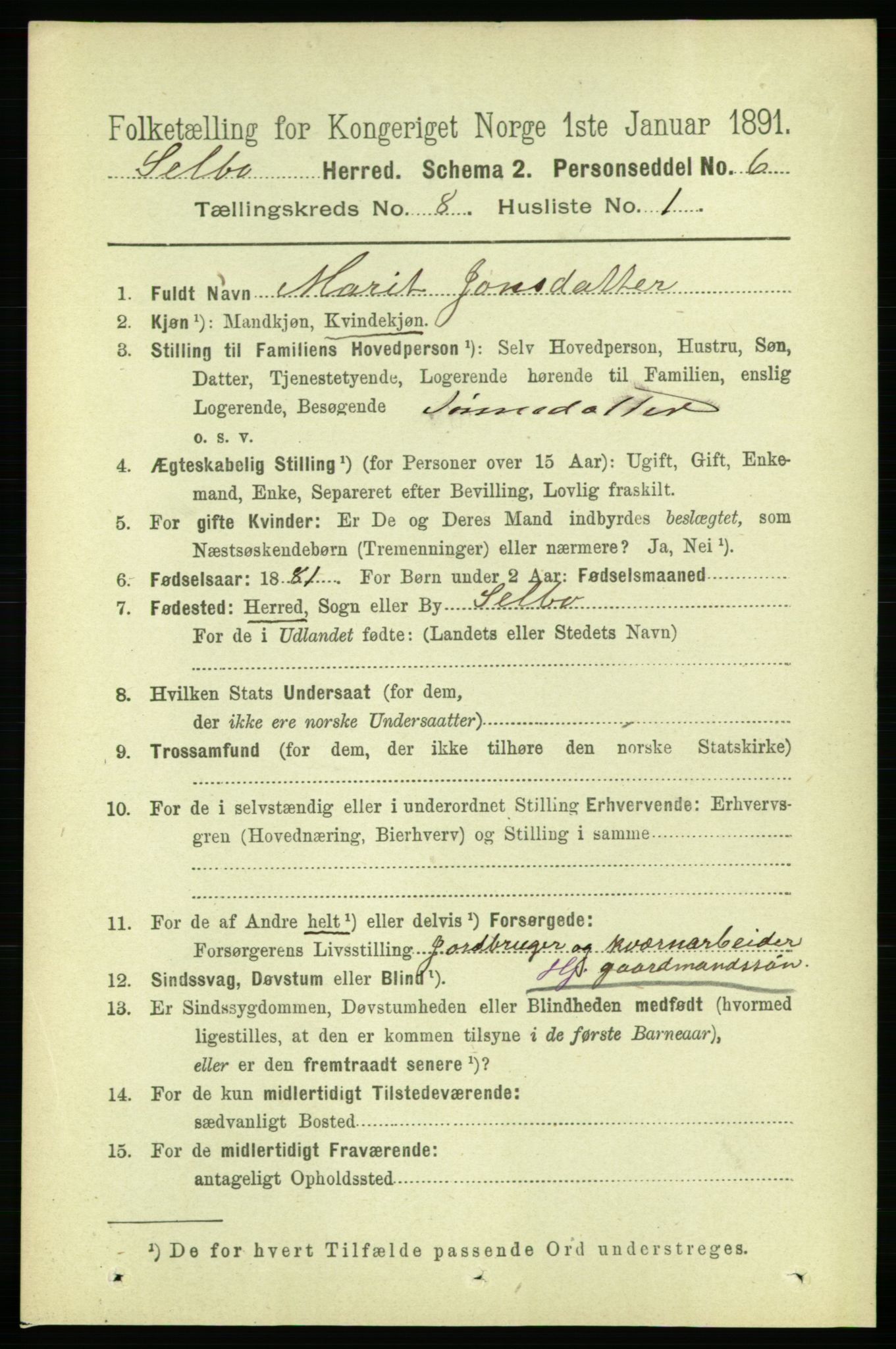 RA, 1891 census for 1664 Selbu, 1891, p. 2915