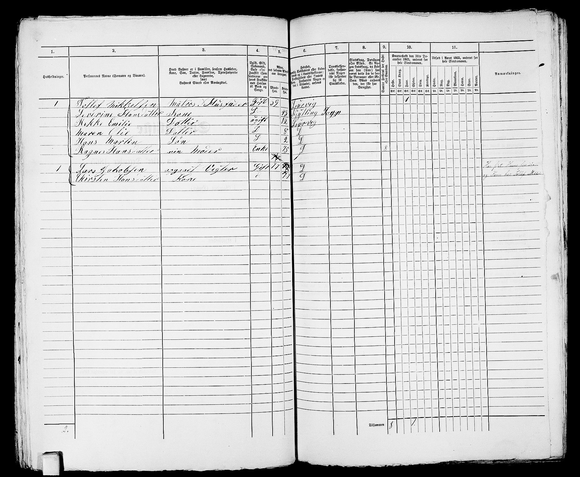 RA, 1865 census for Larvik, 1865, p. 897