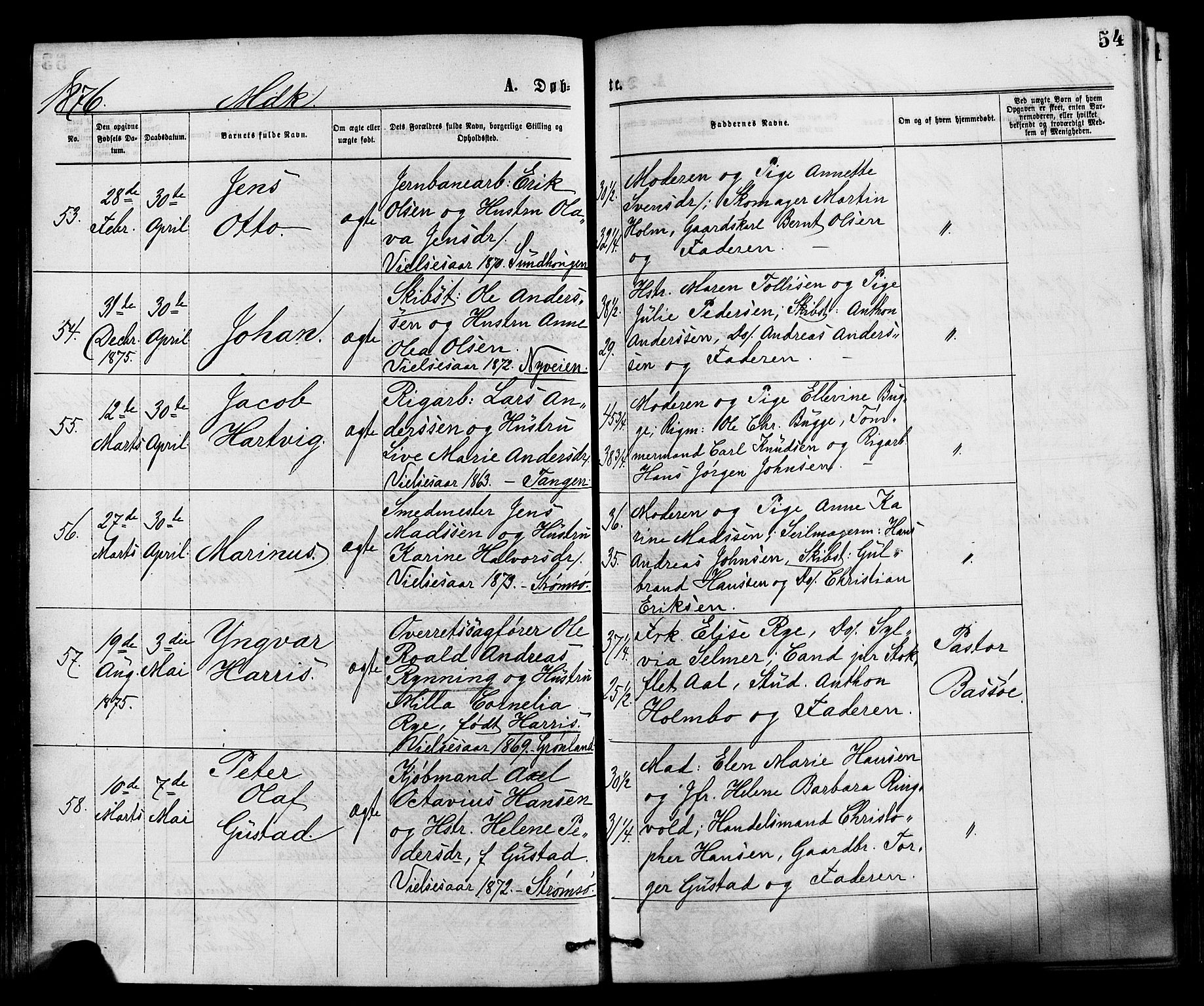 Strømsø kirkebøker, SAKO/A-246/F/Fa/L0019: Parish register (official) no. I 19, 1874-1877, p. 54