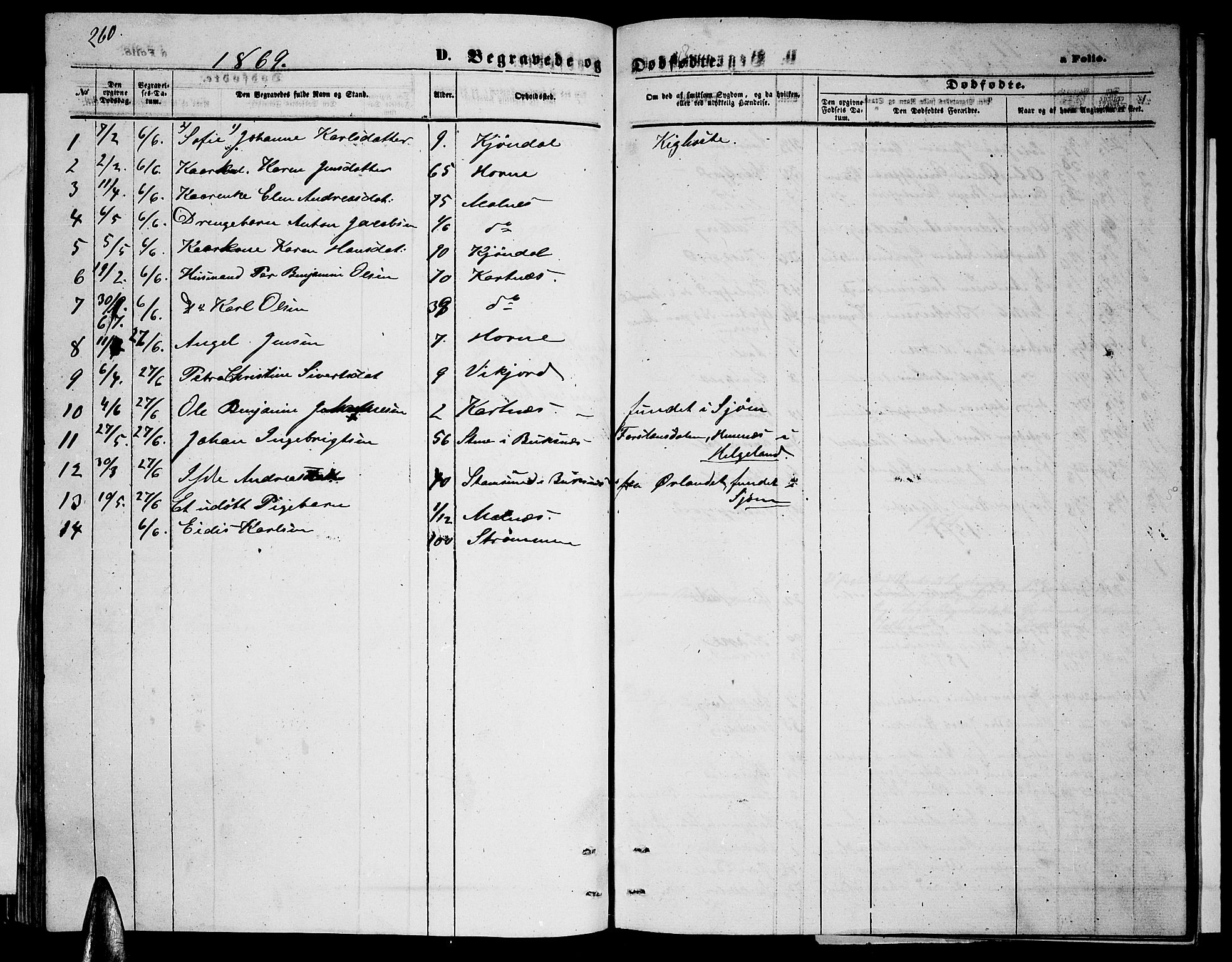 Ministerialprotokoller, klokkerbøker og fødselsregistre - Nordland, AV/SAT-A-1459/884/L1196: Parish register (copy) no. 884C02, 1860-1887, p. 260