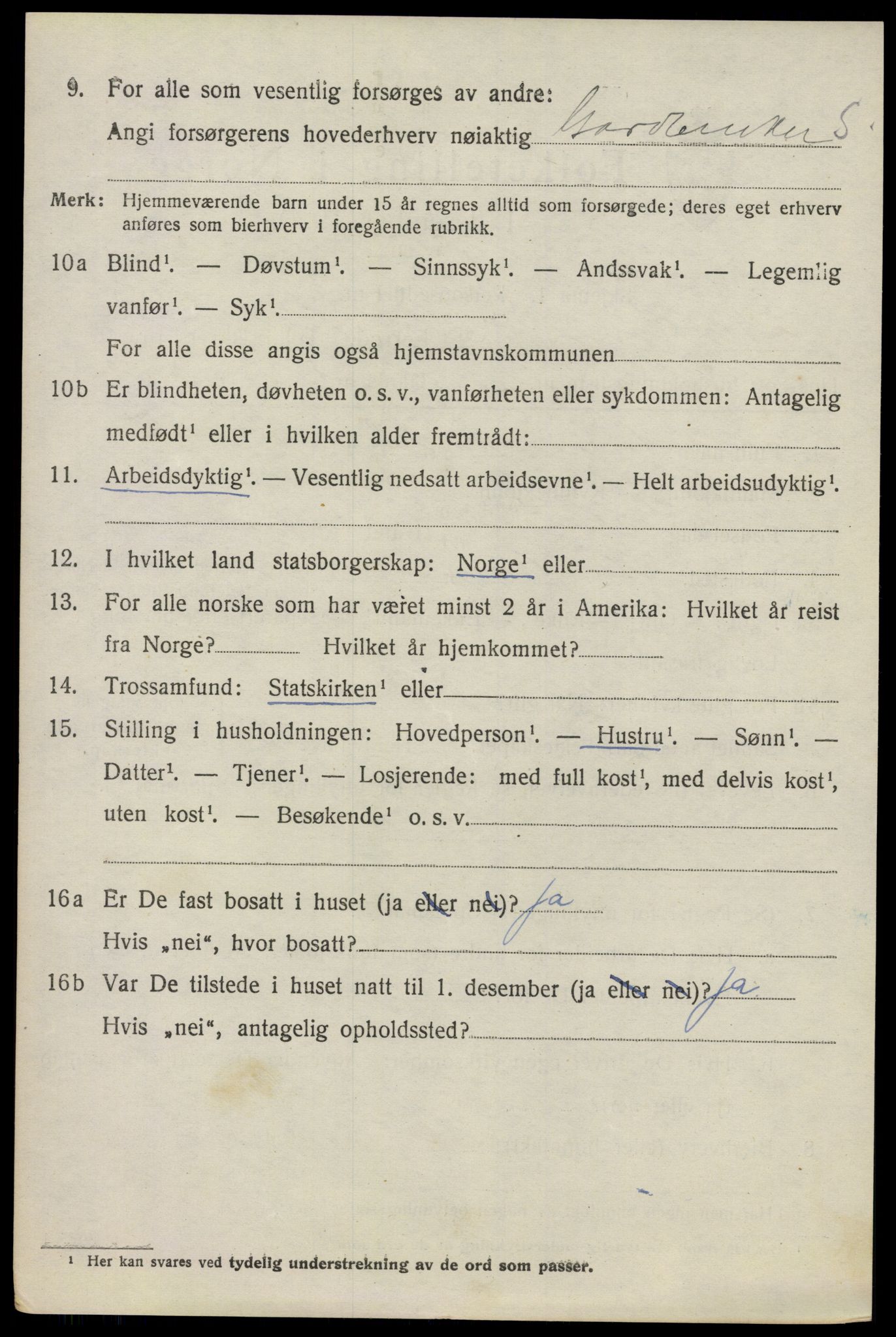 SAO, 1920 census for Nes, 1920, p. 5117