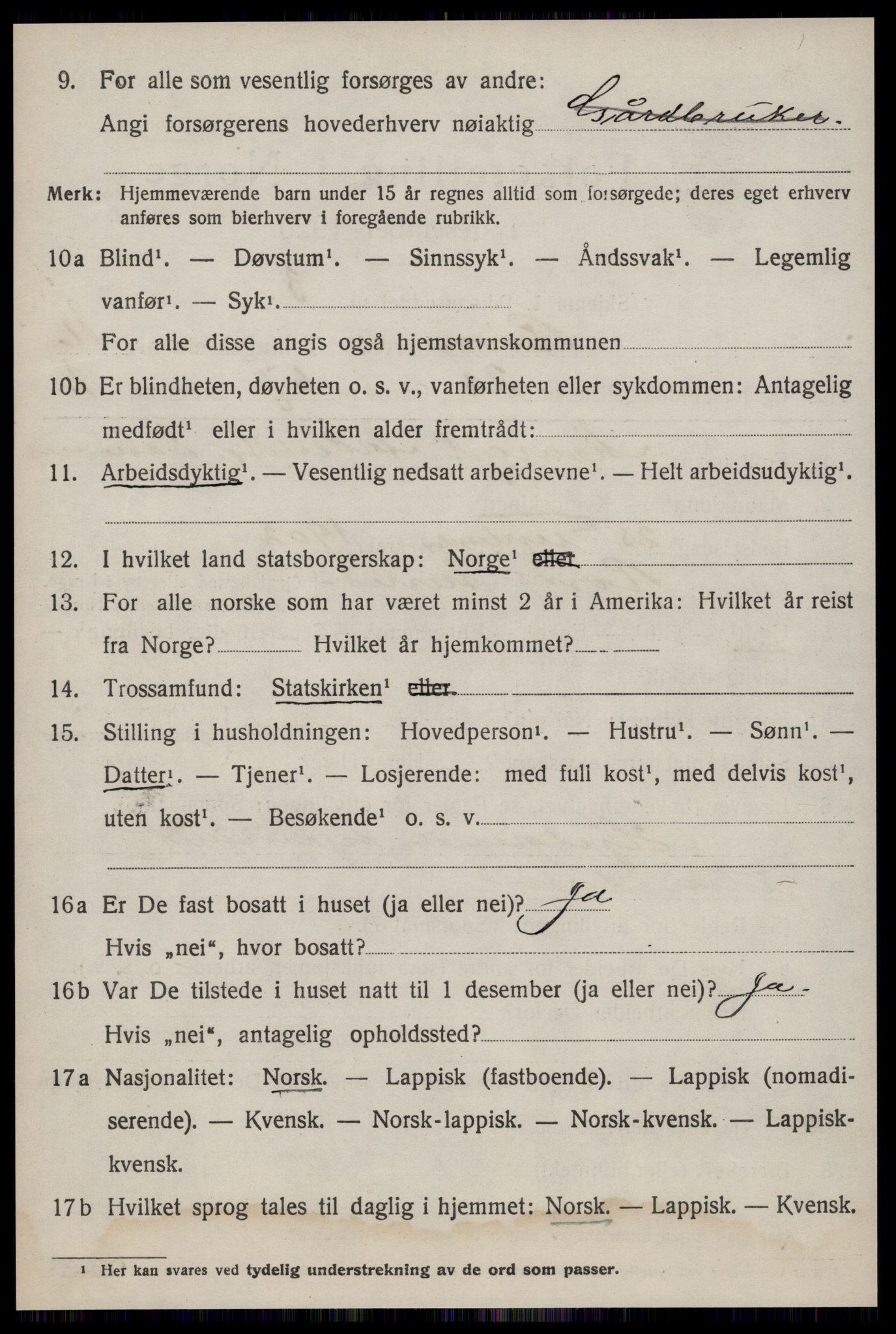 SAT, 1920 census for Røros, 1920, p. 11303