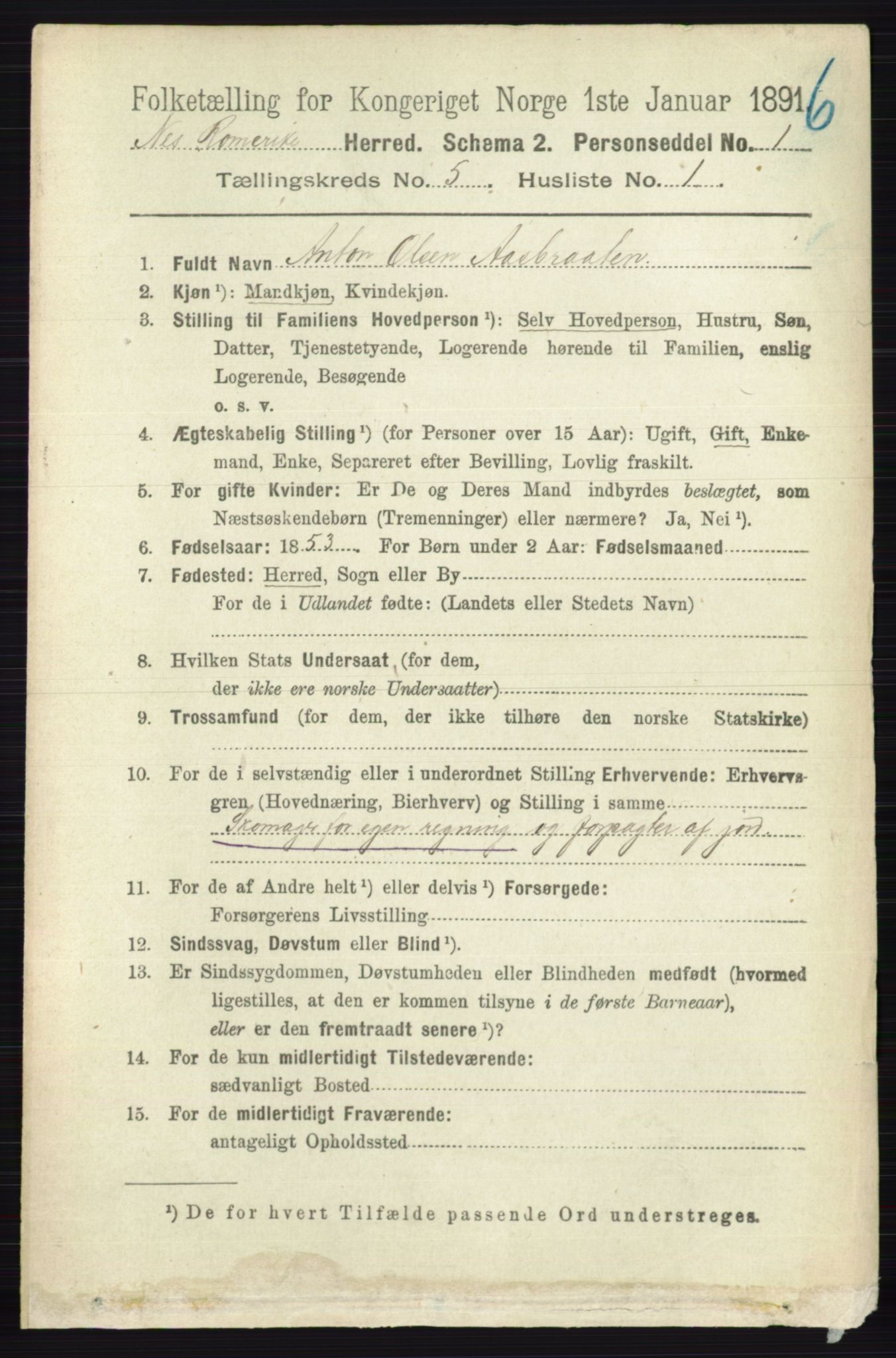 RA, 1891 census for 0236 Nes, 1891, p. 2791