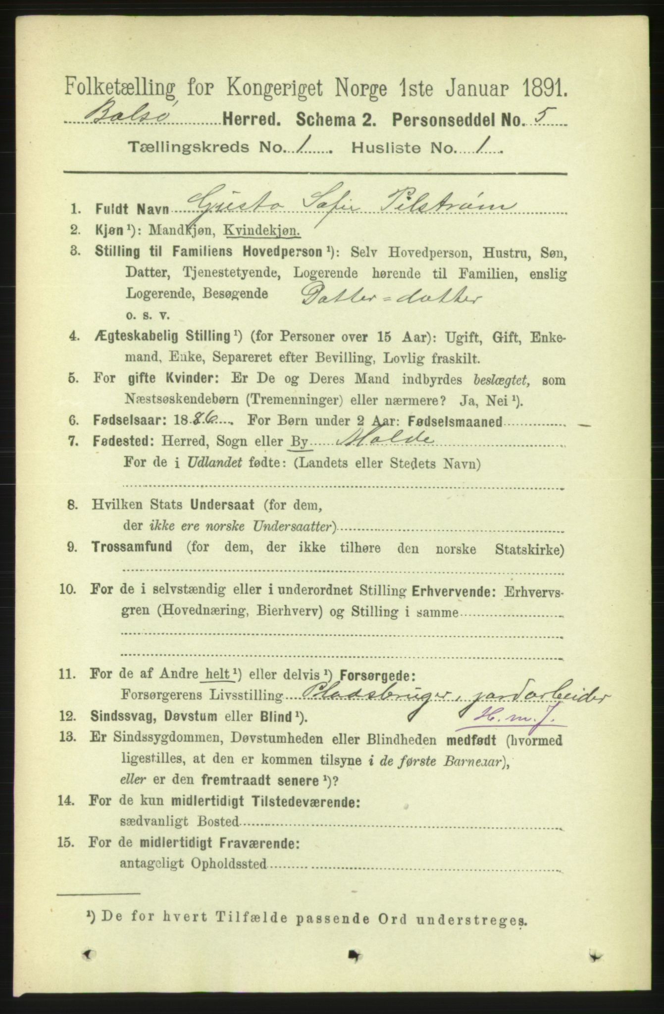 RA, 1891 census for 1544 Bolsøy, 1891, p. 178