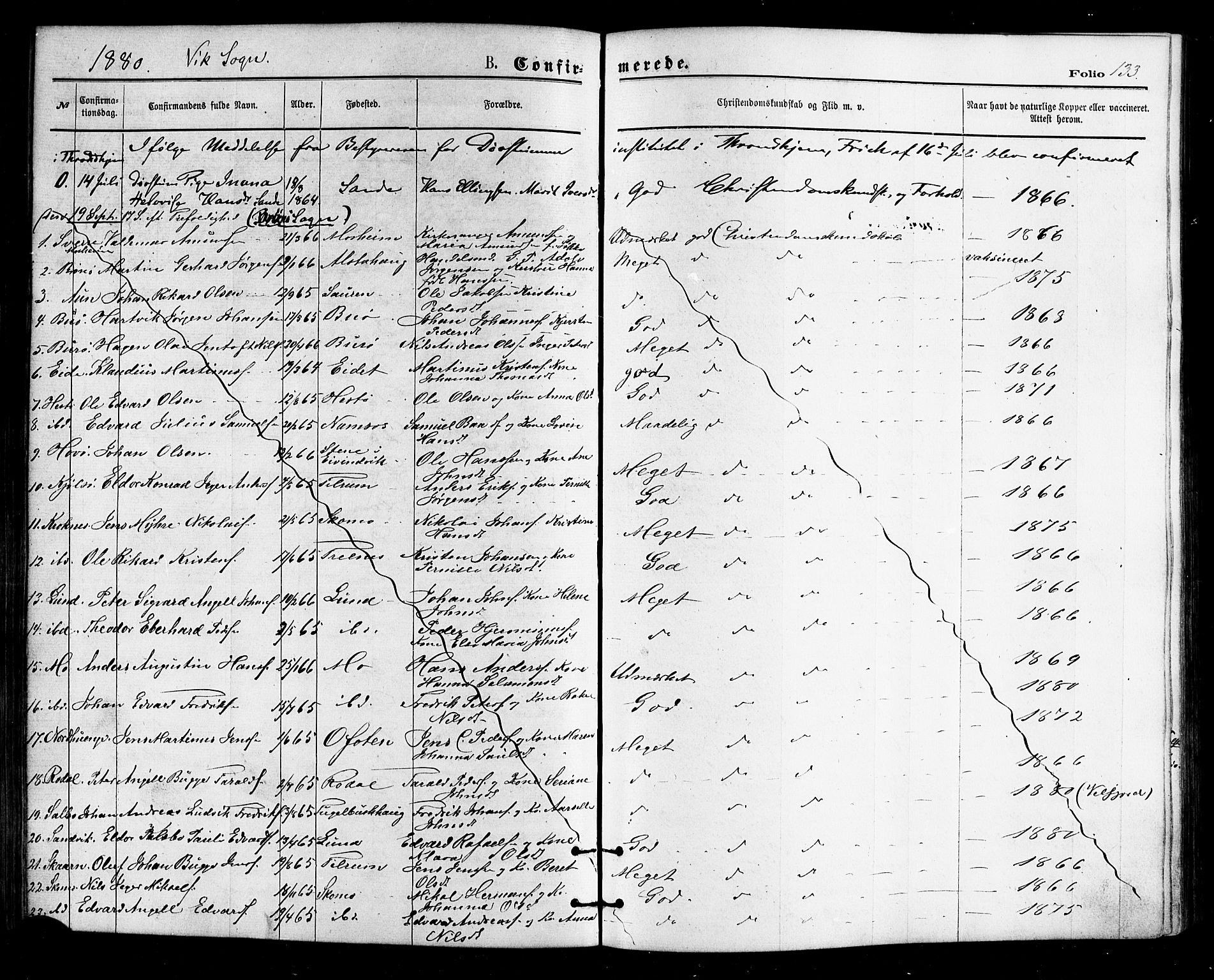 Ministerialprotokoller, klokkerbøker og fødselsregistre - Nordland, SAT/A-1459/812/L0177: Parish register (official) no. 812A06, 1875-1885, p. 133