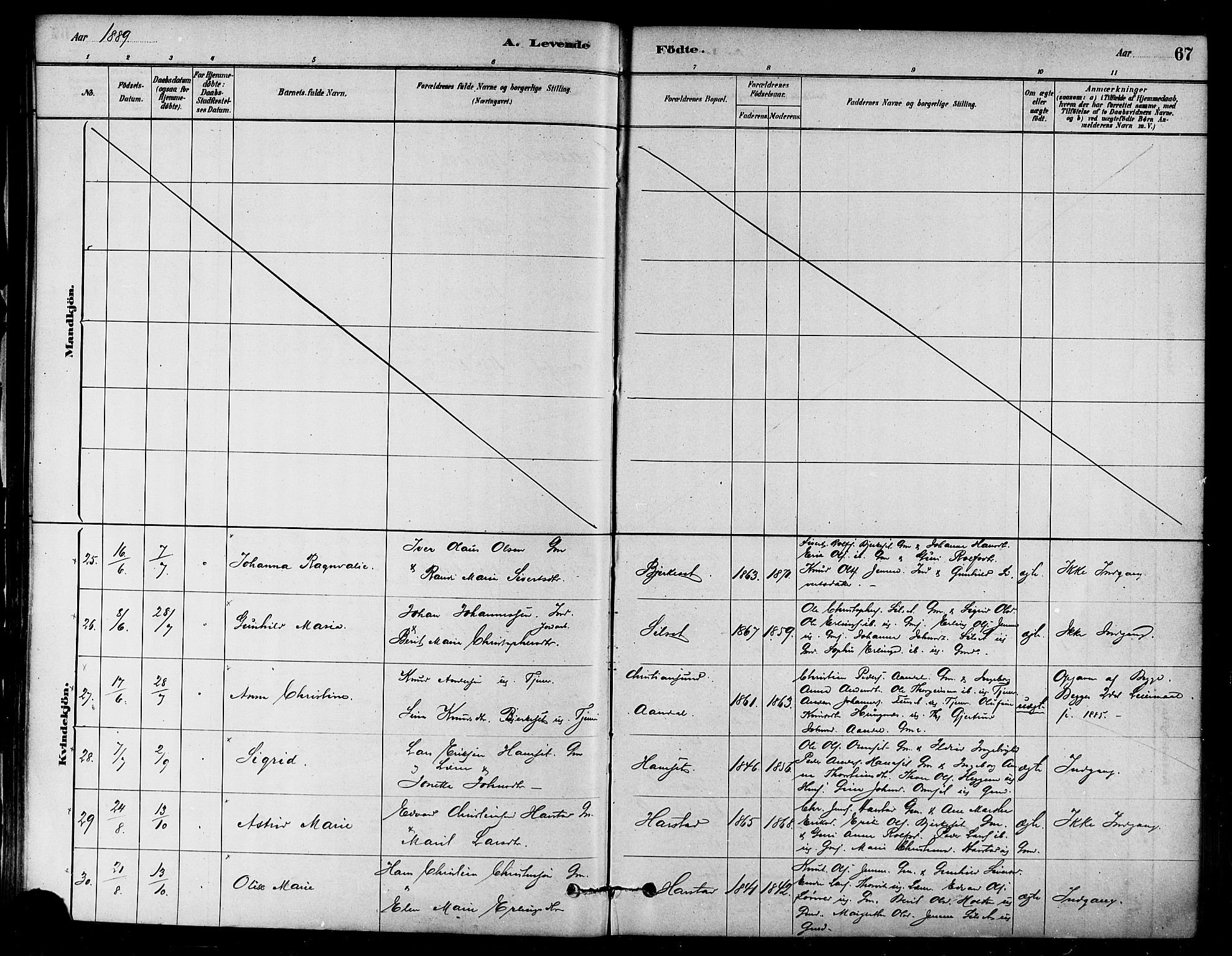 Ministerialprotokoller, klokkerbøker og fødselsregistre - Møre og Romsdal, AV/SAT-A-1454/584/L0967: Parish register (official) no. 584A07, 1879-1894, p. 67