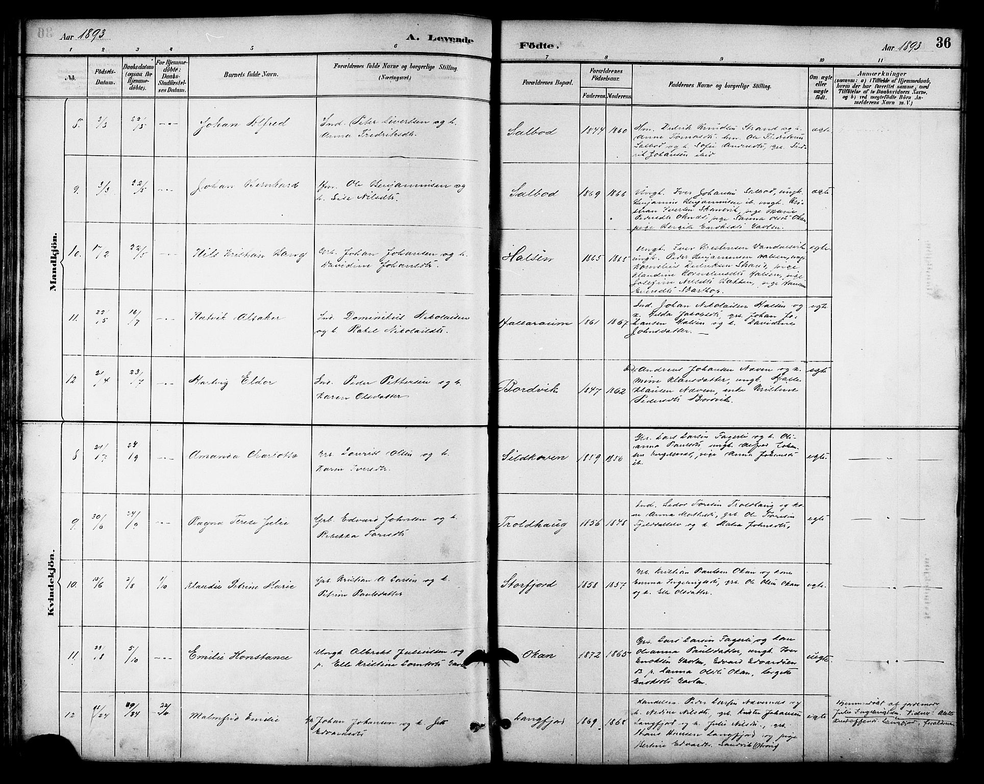 Ministerialprotokoller, klokkerbøker og fødselsregistre - Nordland, AV/SAT-A-1459/814/L0230: Parish register (copy) no. 814C03, 1884-1911, p. 36