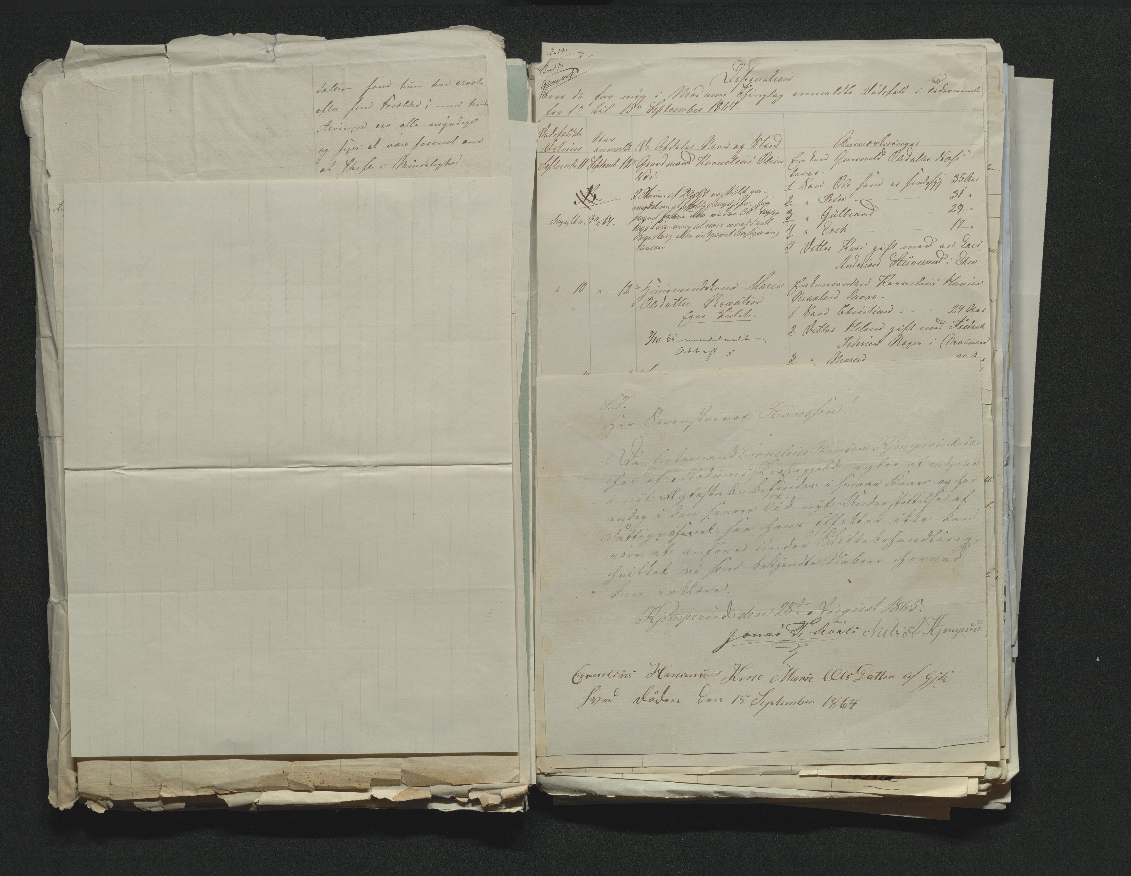 Eiker, Modum og Sigdal sorenskriveri, AV/SAKO-A-123/H/Ha/Hab/L0011: Dødsfallsmeldinger, 1862-1865, p. 420