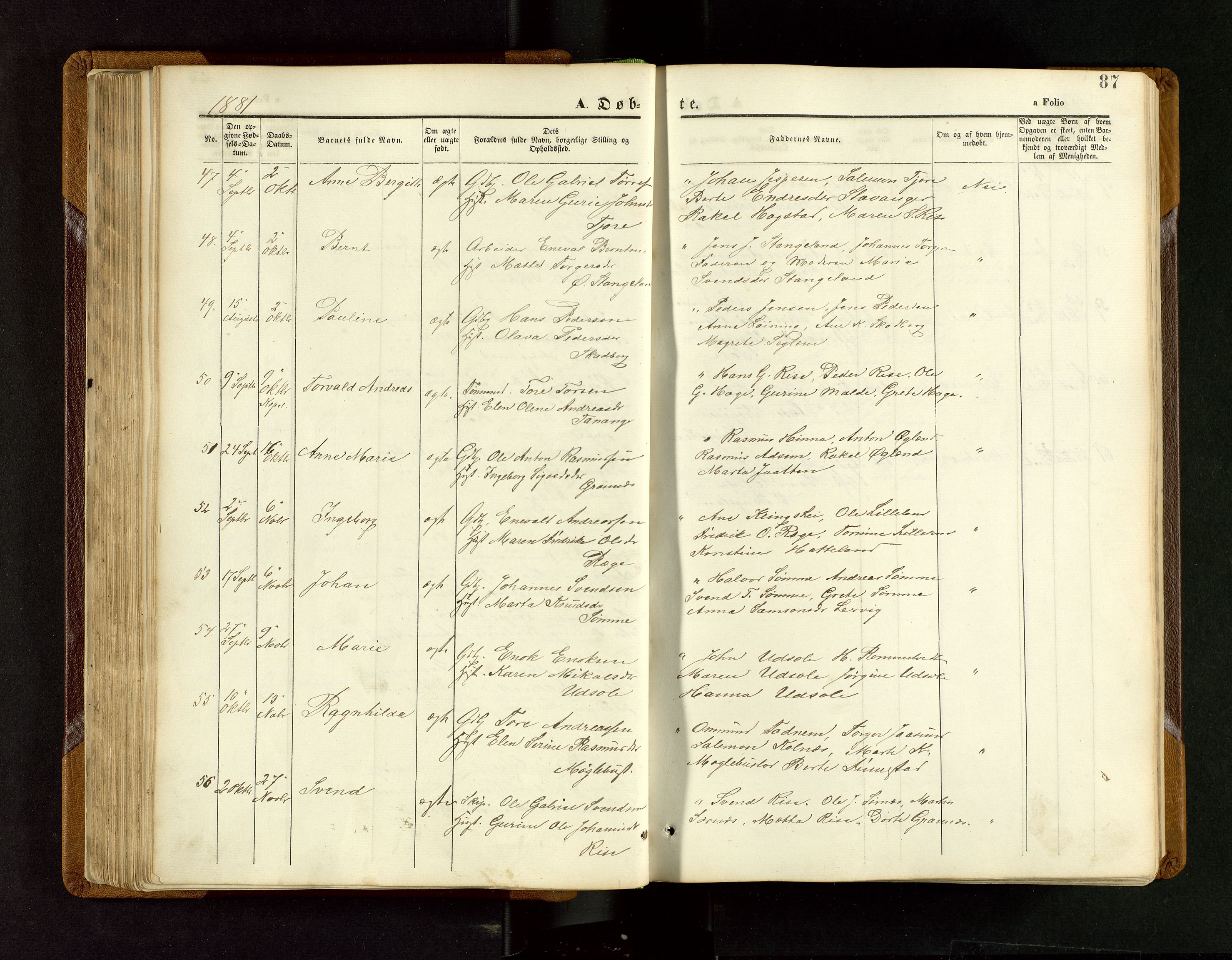 Håland sokneprestkontor, SAST/A-101802/001/30BB/L0003: Parish register (copy) no. B 3, 1873-1893, p. 87