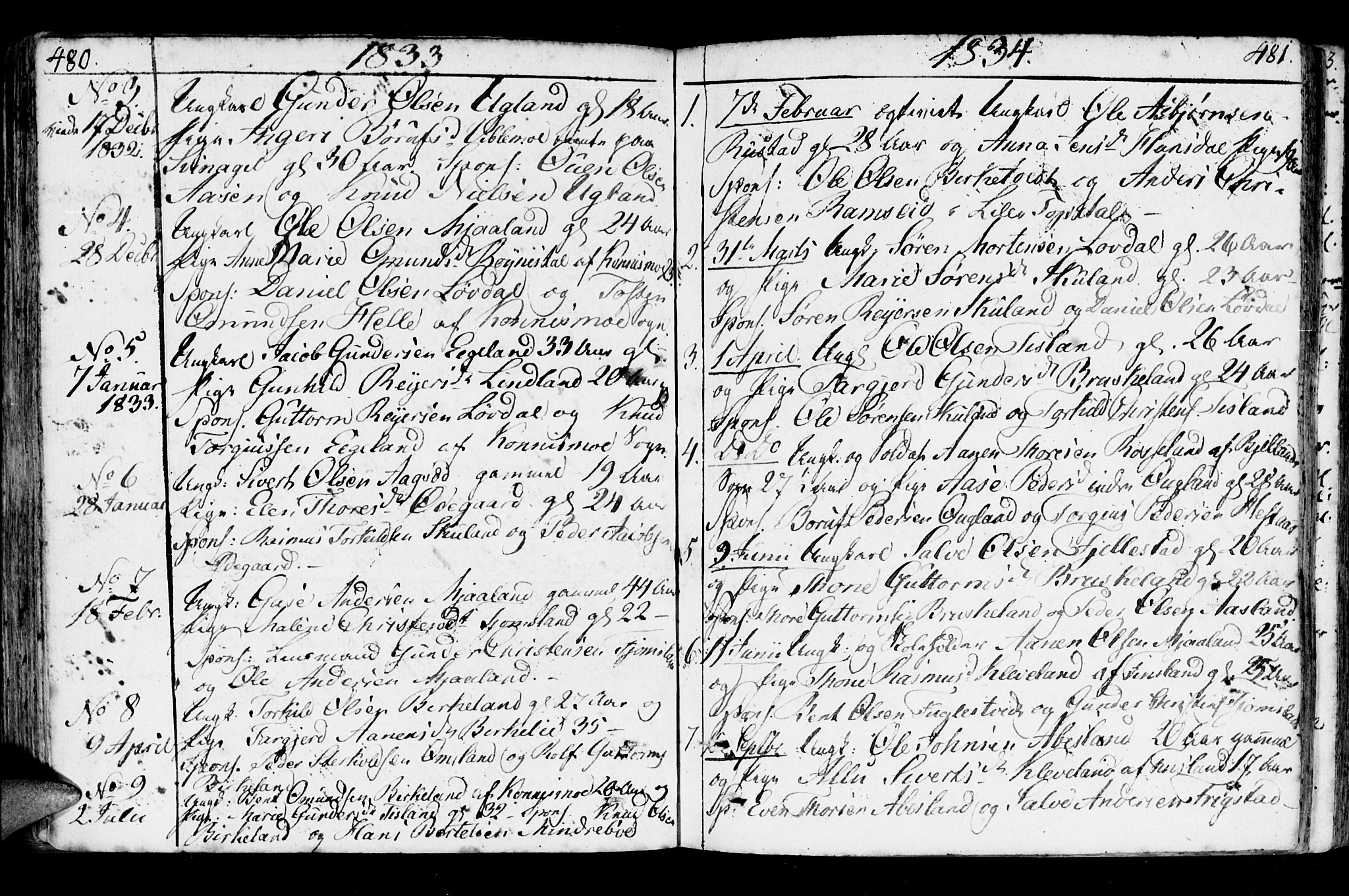 Holum sokneprestkontor, AV/SAK-1111-0022/F/Fa/Fab/L0004: Parish register (official) no. A 4, 1774-1847, p. 480-481