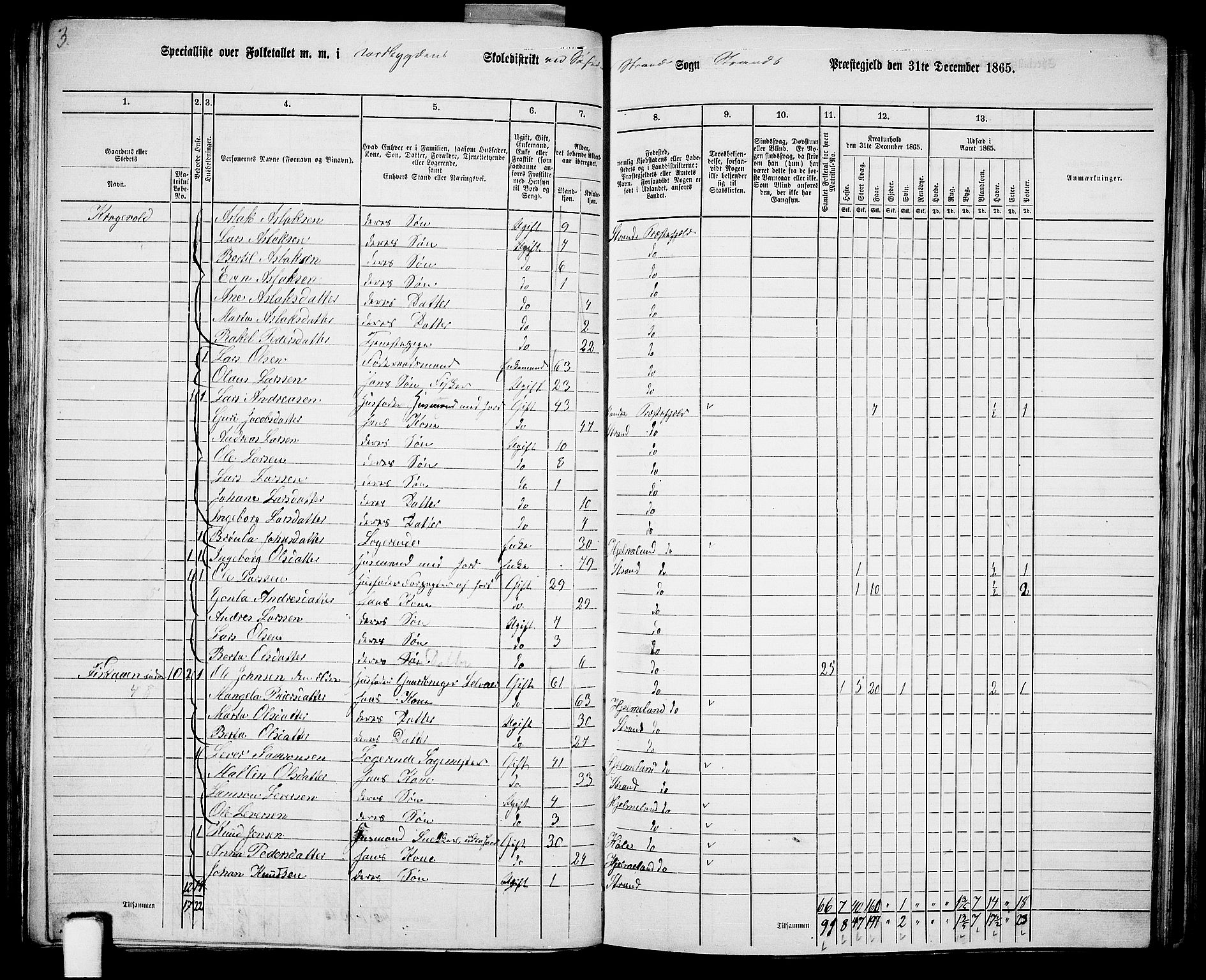 RA, 1865 census for Strand, 1865, p. 9