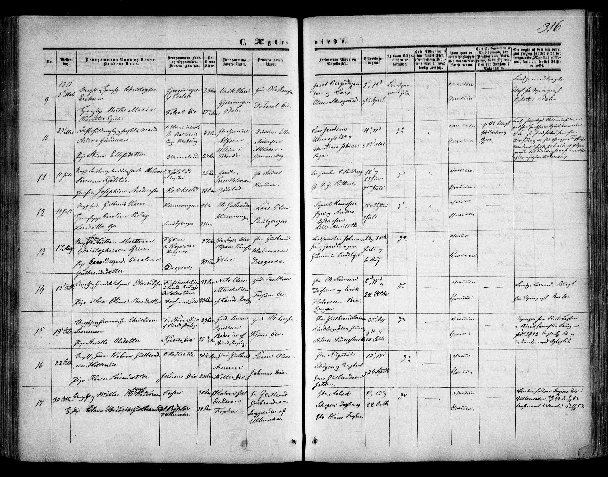 Nes prestekontor Kirkebøker, SAO/A-10410/F/Fa/L0008: Parish register (official) no. I 8, 1859-1874, p. 316