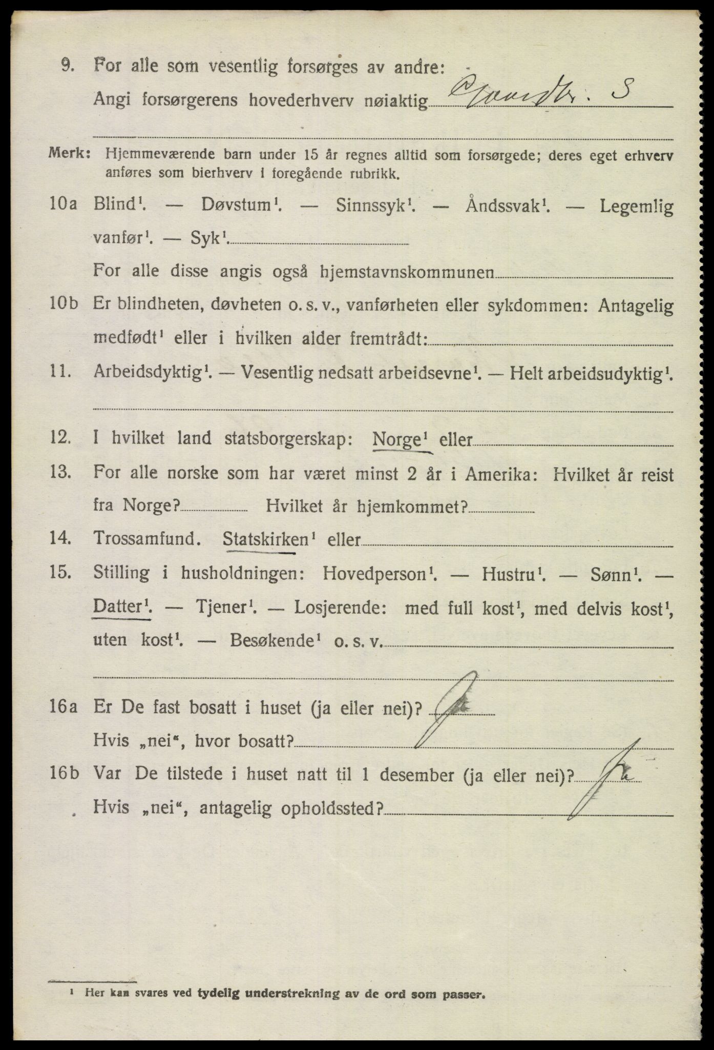 SAH, 1920 census for Vestre Slidre, 1920, p. 4041