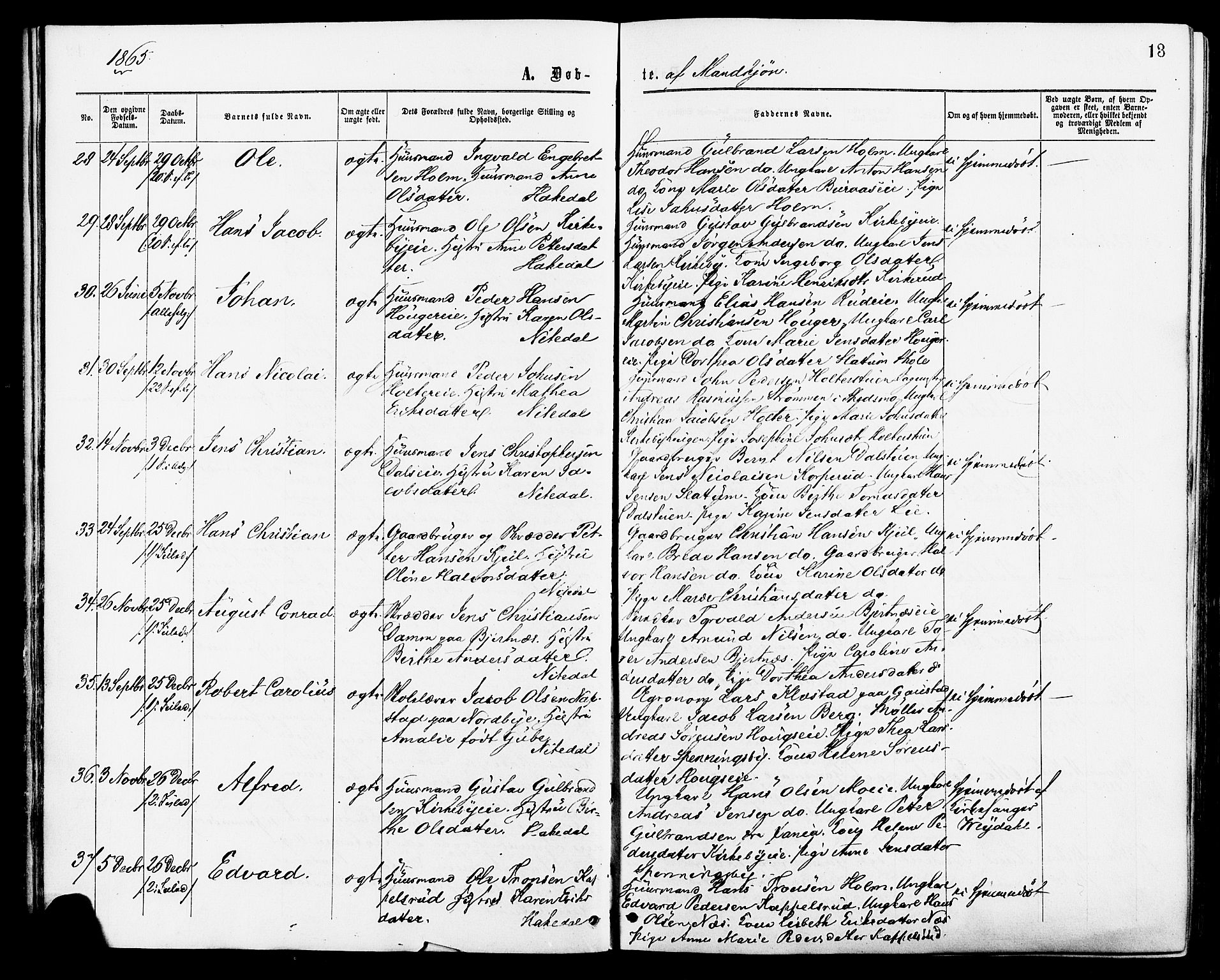 Nittedal prestekontor Kirkebøker, SAO/A-10365a/F/Fa/L0006: Parish register (official) no. I 6, 1863-1878, p. 13