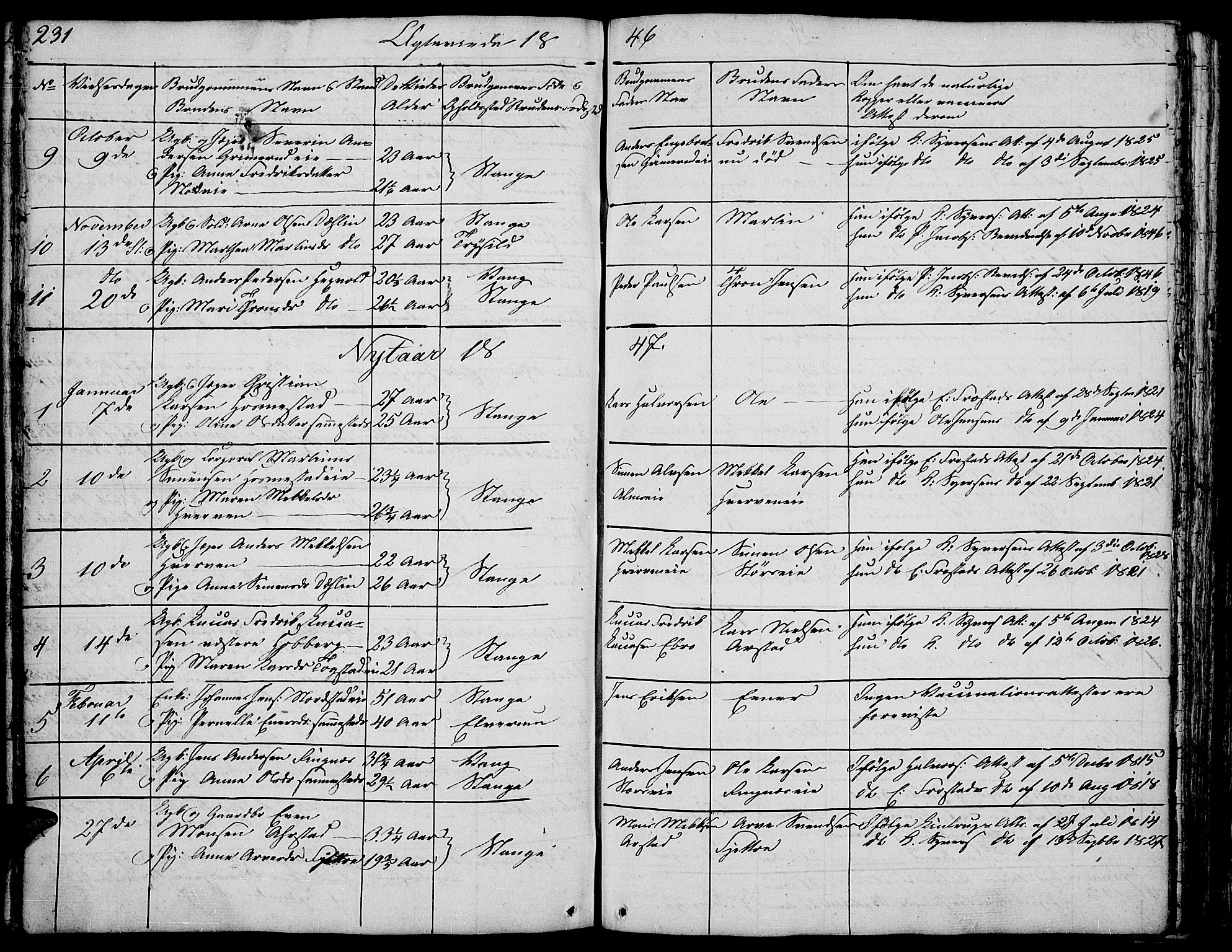Stange prestekontor, SAH/PREST-002/L/L0002: Parish register (copy) no. 2, 1838-1879, p. 231