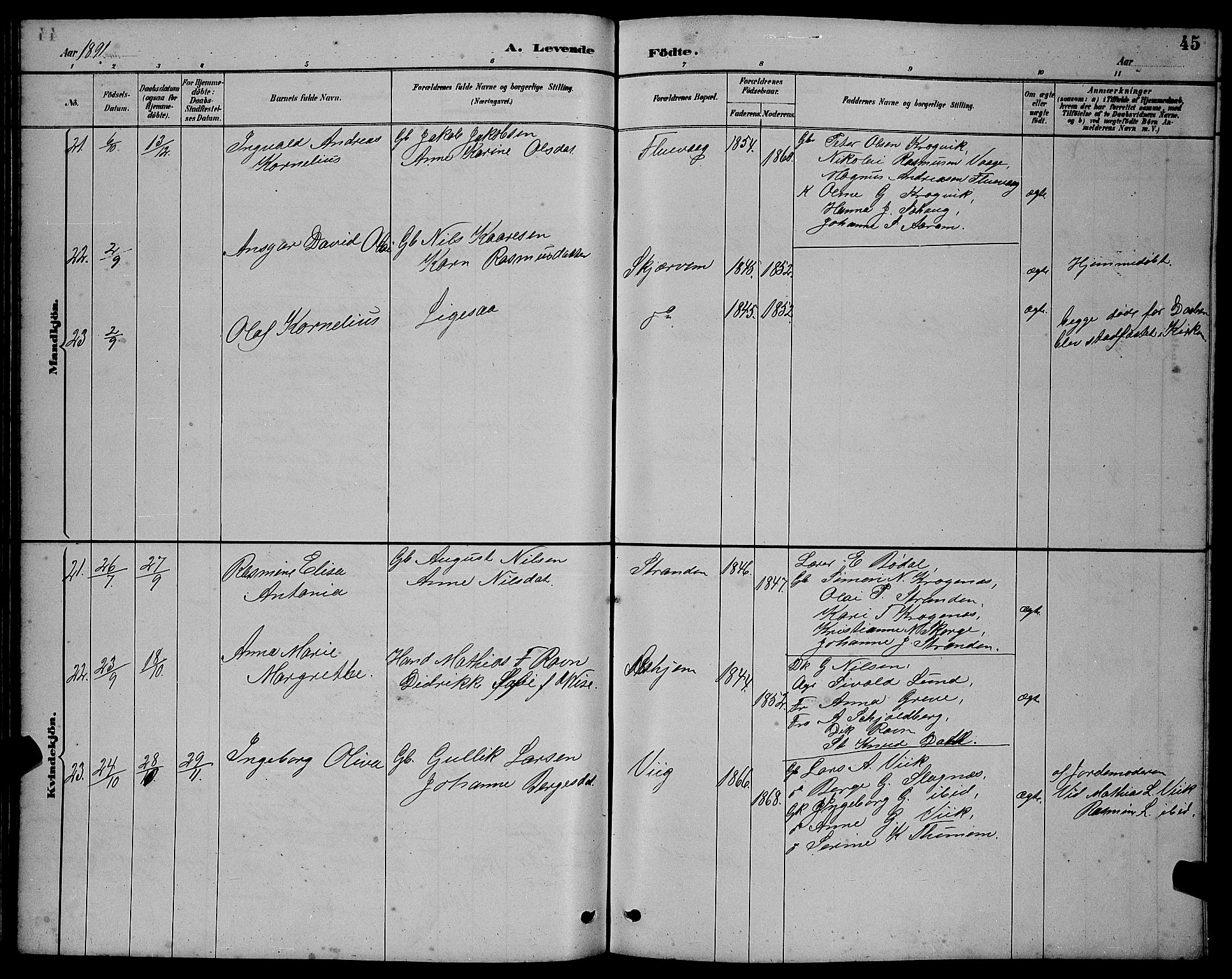 Ministerialprotokoller, klokkerbøker og fødselsregistre - Møre og Romsdal, AV/SAT-A-1454/501/L0017: Parish register (copy) no. 501C03, 1885-1901, p. 45