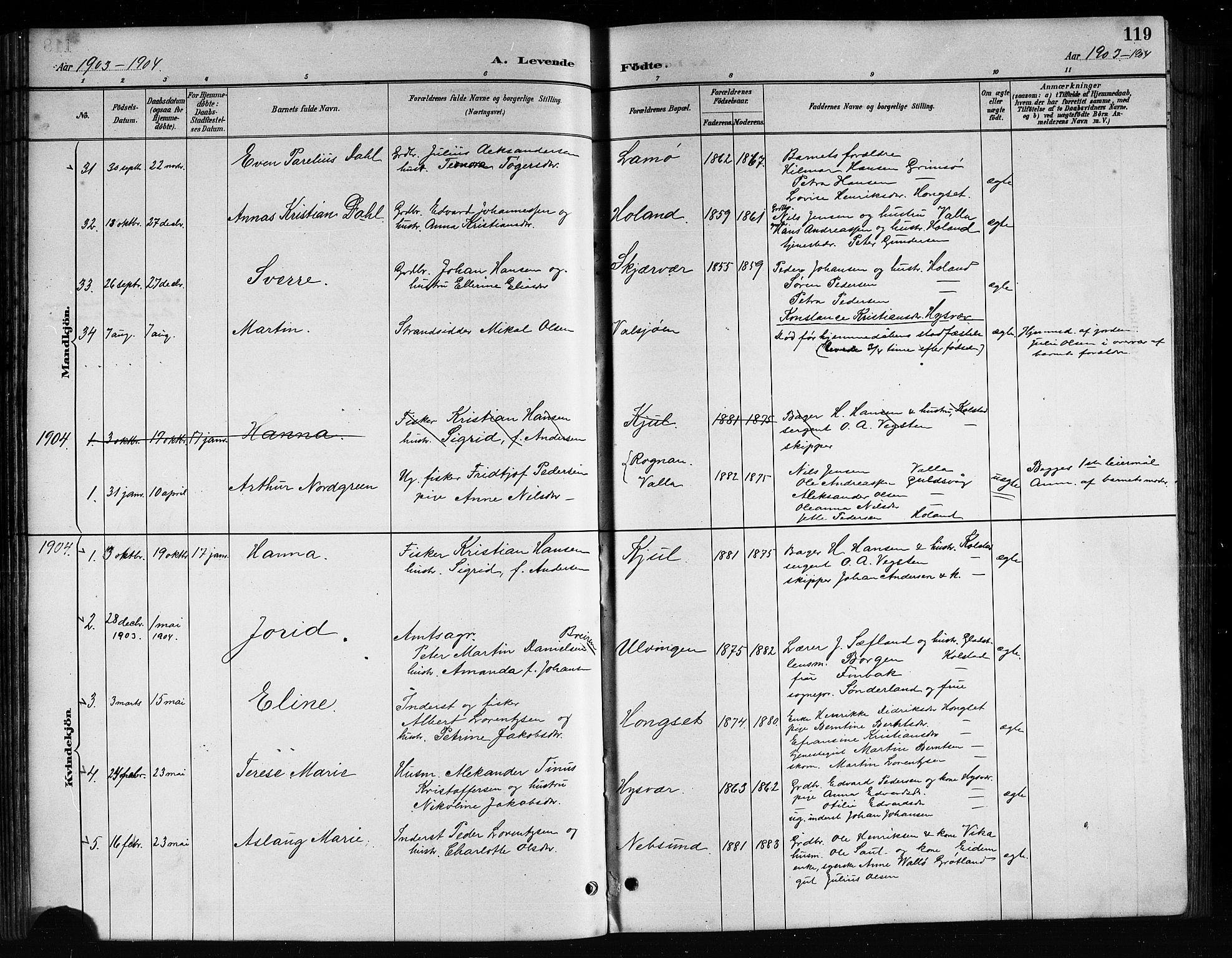 Ministerialprotokoller, klokkerbøker og fødselsregistre - Nordland, AV/SAT-A-1459/816/L0253: Parish register (copy) no. 816C03, 1886-1905, p. 119