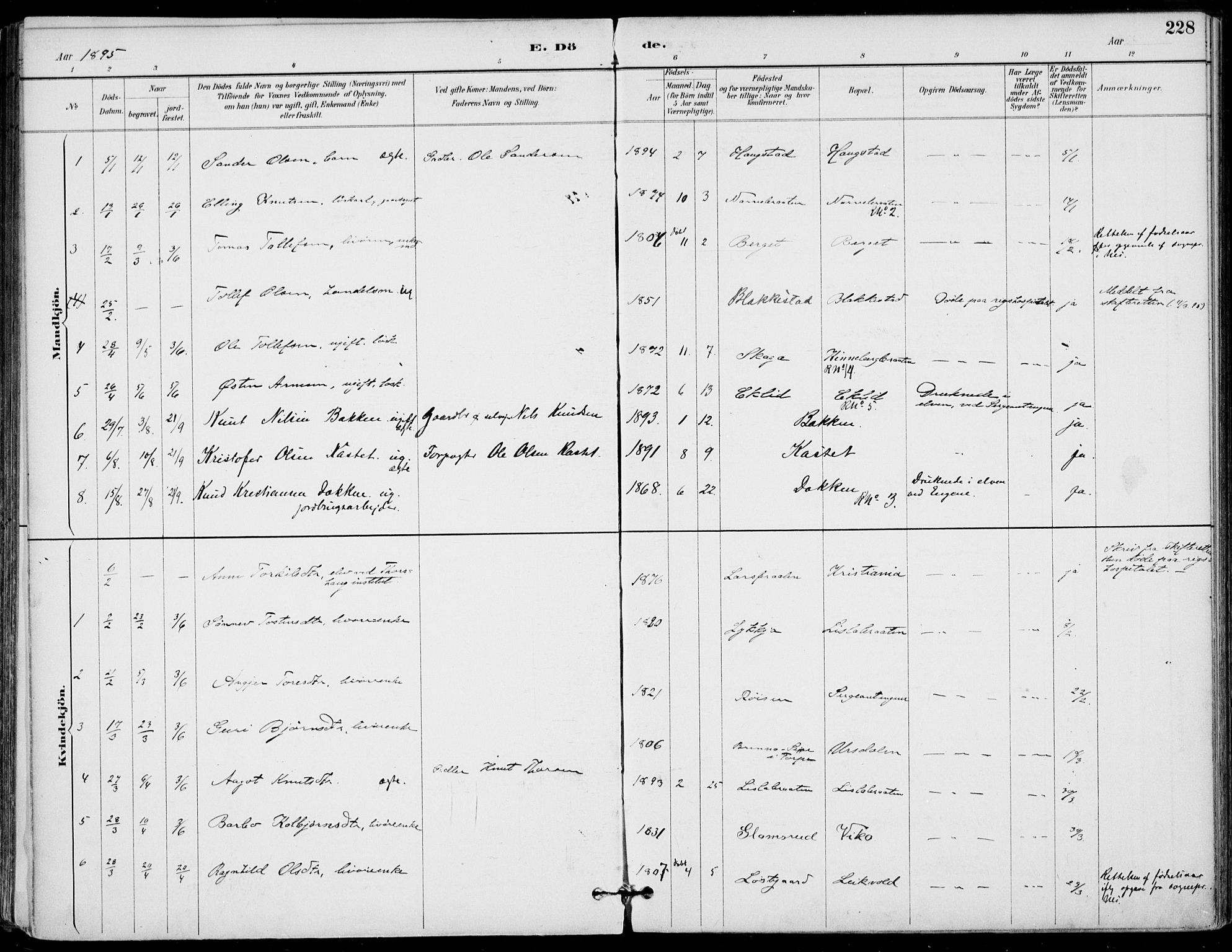 Gol kirkebøker, AV/SAKO-A-226/F/Fa/L0005: Parish register (official) no. I 5, 1887-1900, p. 228