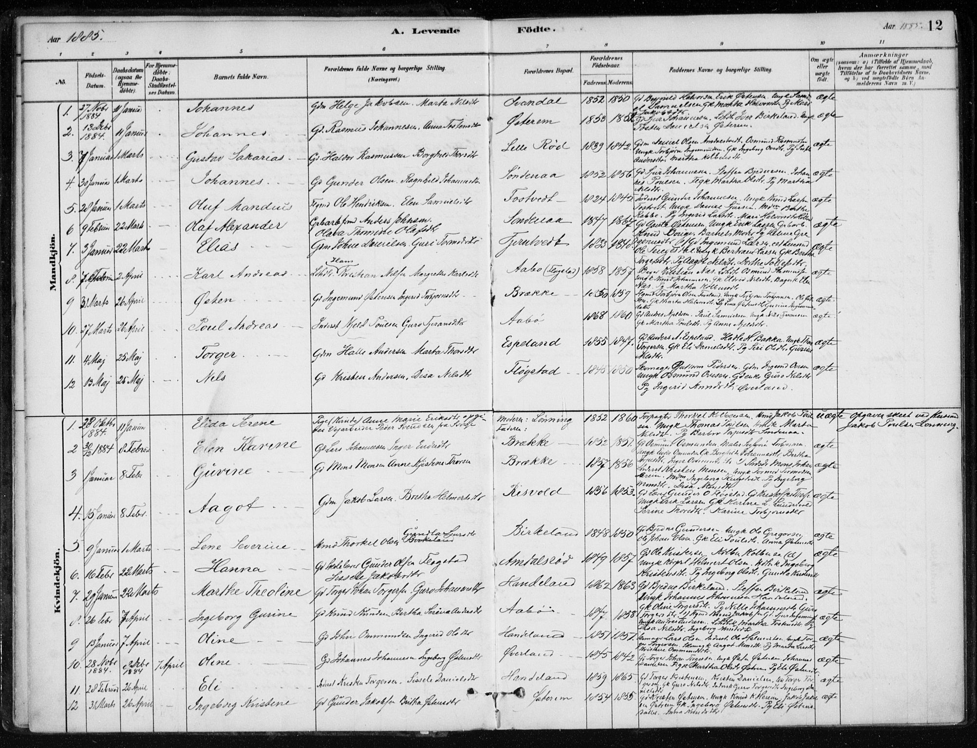 Sand sokneprestkontor, AV/SAST-A-101848/01/III/L0006: Parish register (official) no. A 6, 1880-1898, p. 12