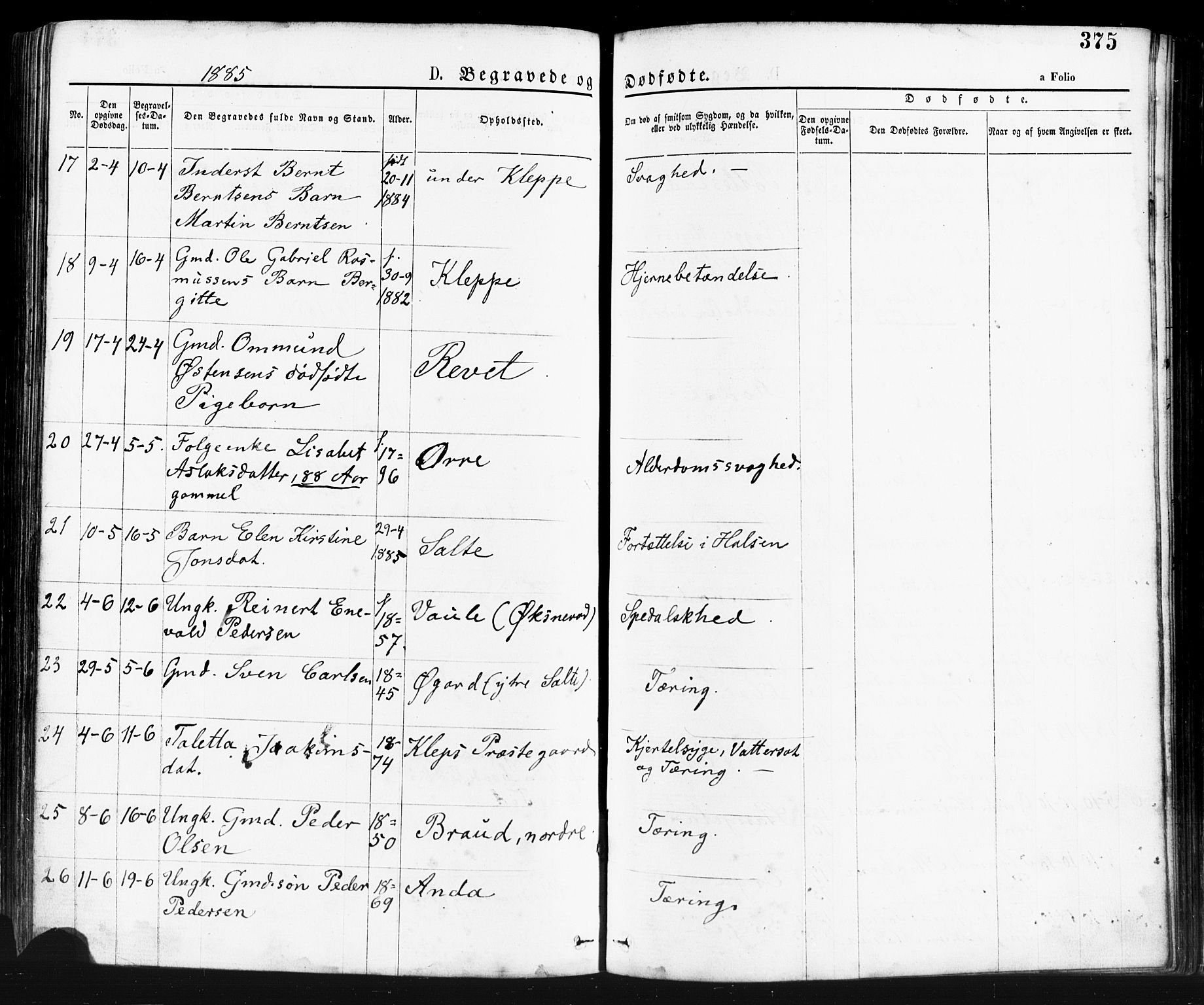 Klepp sokneprestkontor, AV/SAST-A-101803/001/3/30BA/L0006: Parish register (official) no. A 6, 1871-1885, p. 375